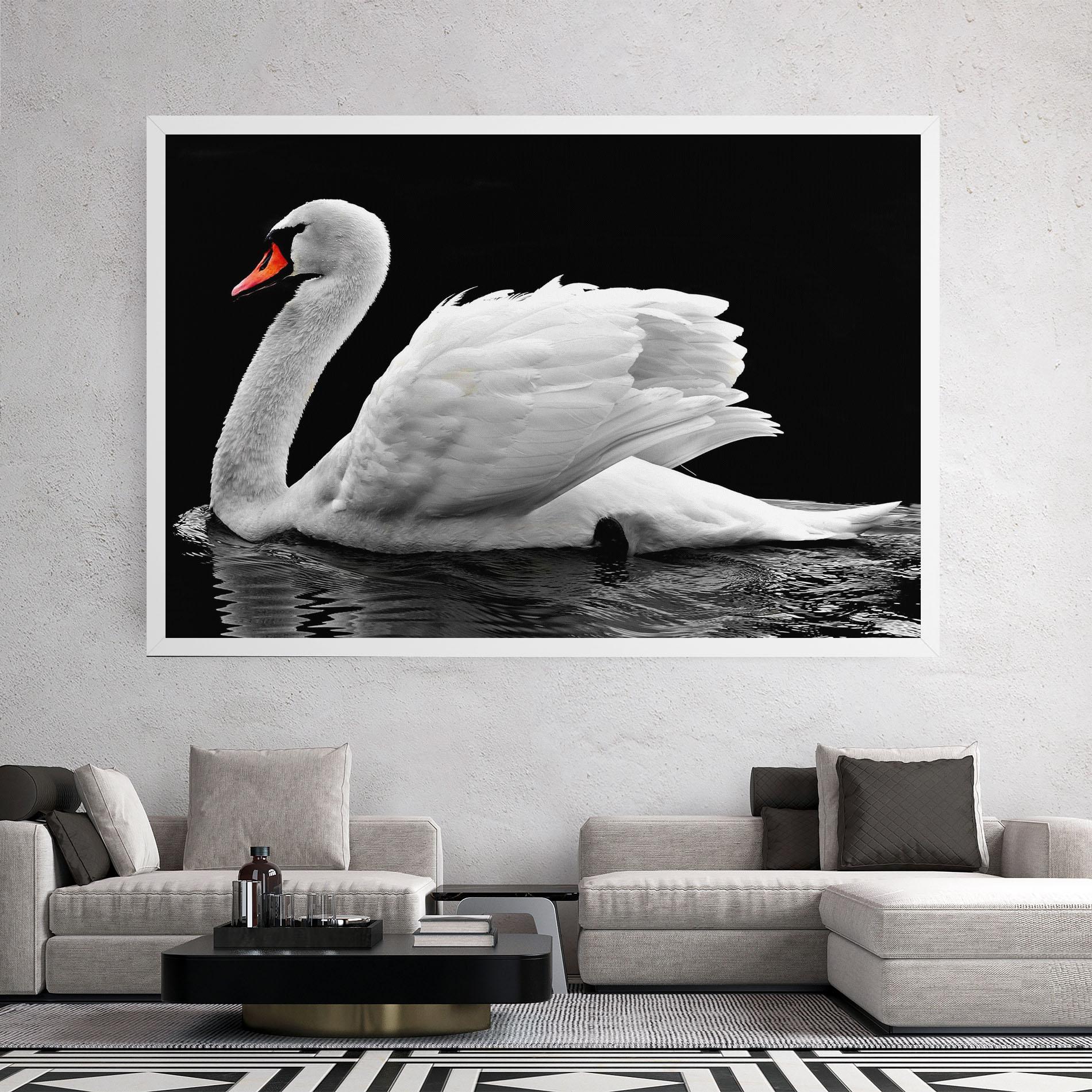 Leinwandbild Black And White Swan mockup 2