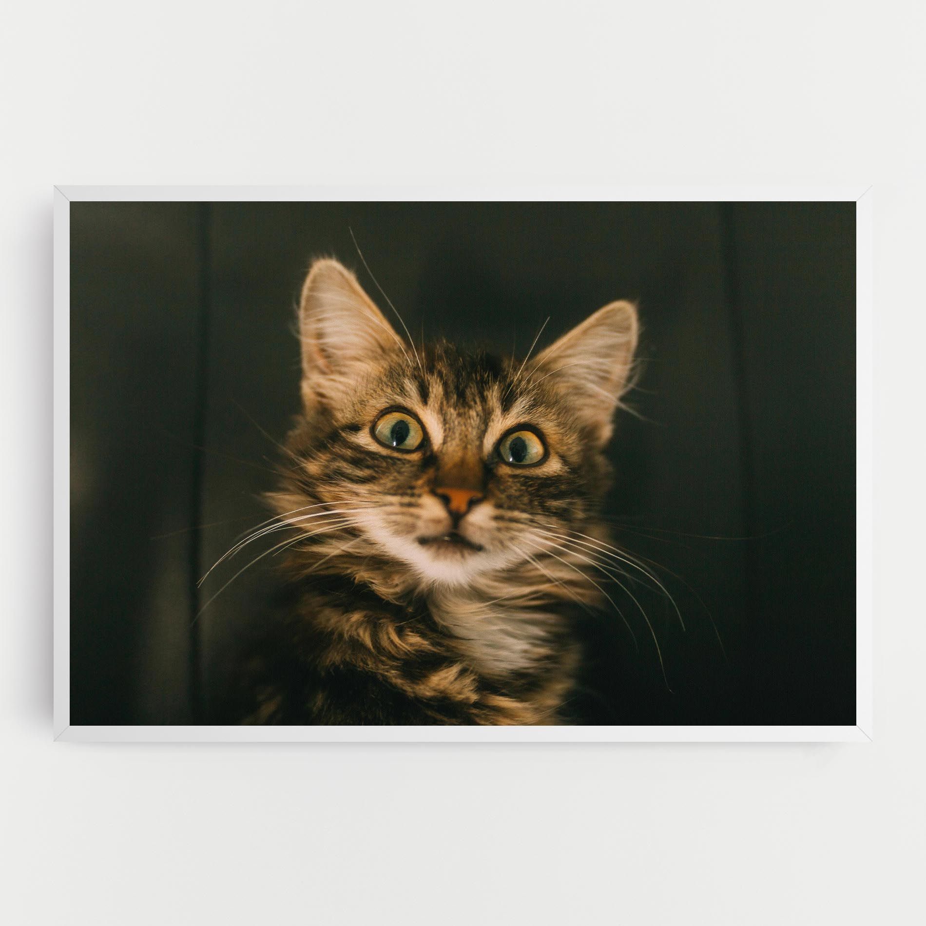 Amazed Cat mockup 0