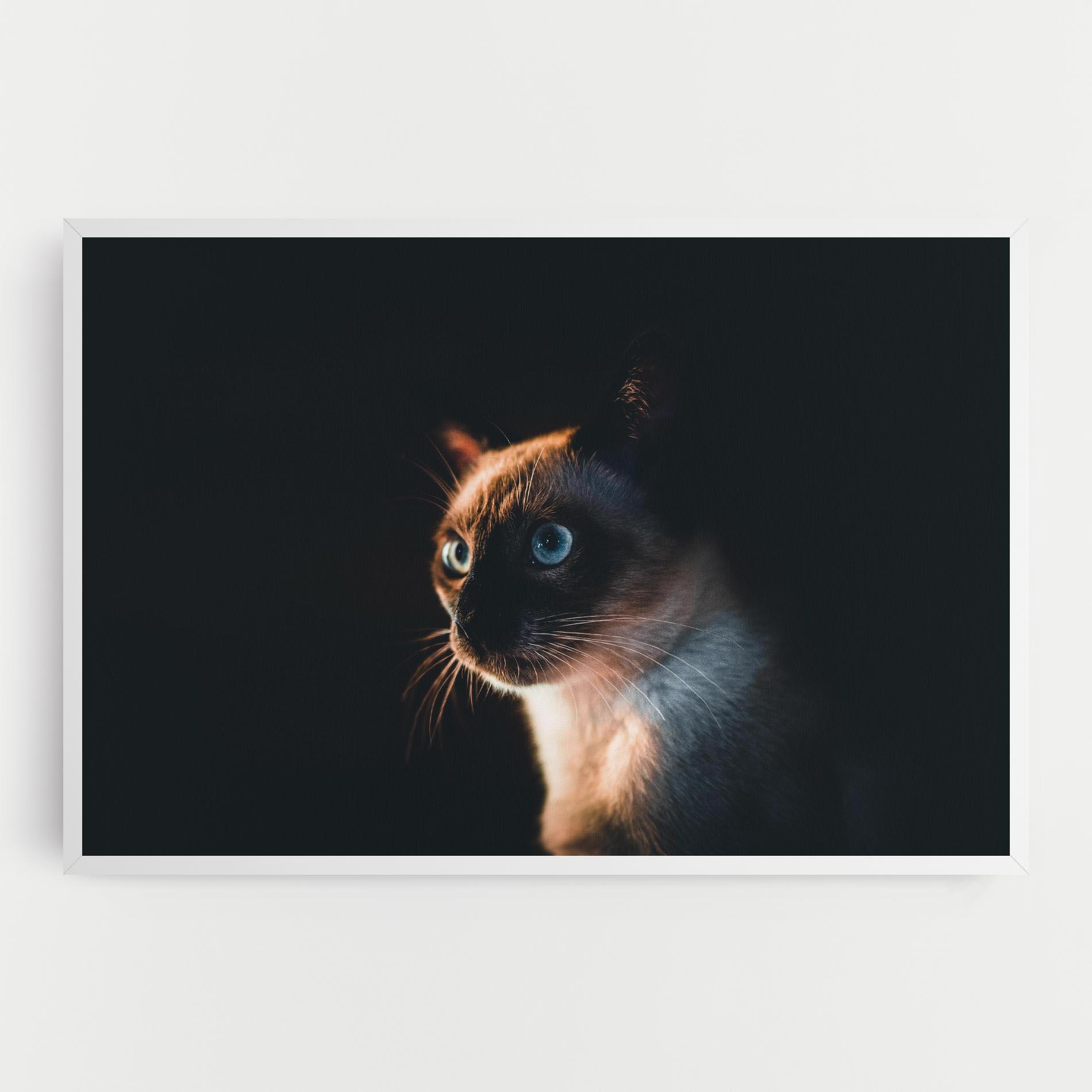 Leinwandbild Blue Eyes Cat In Dark mockup 0