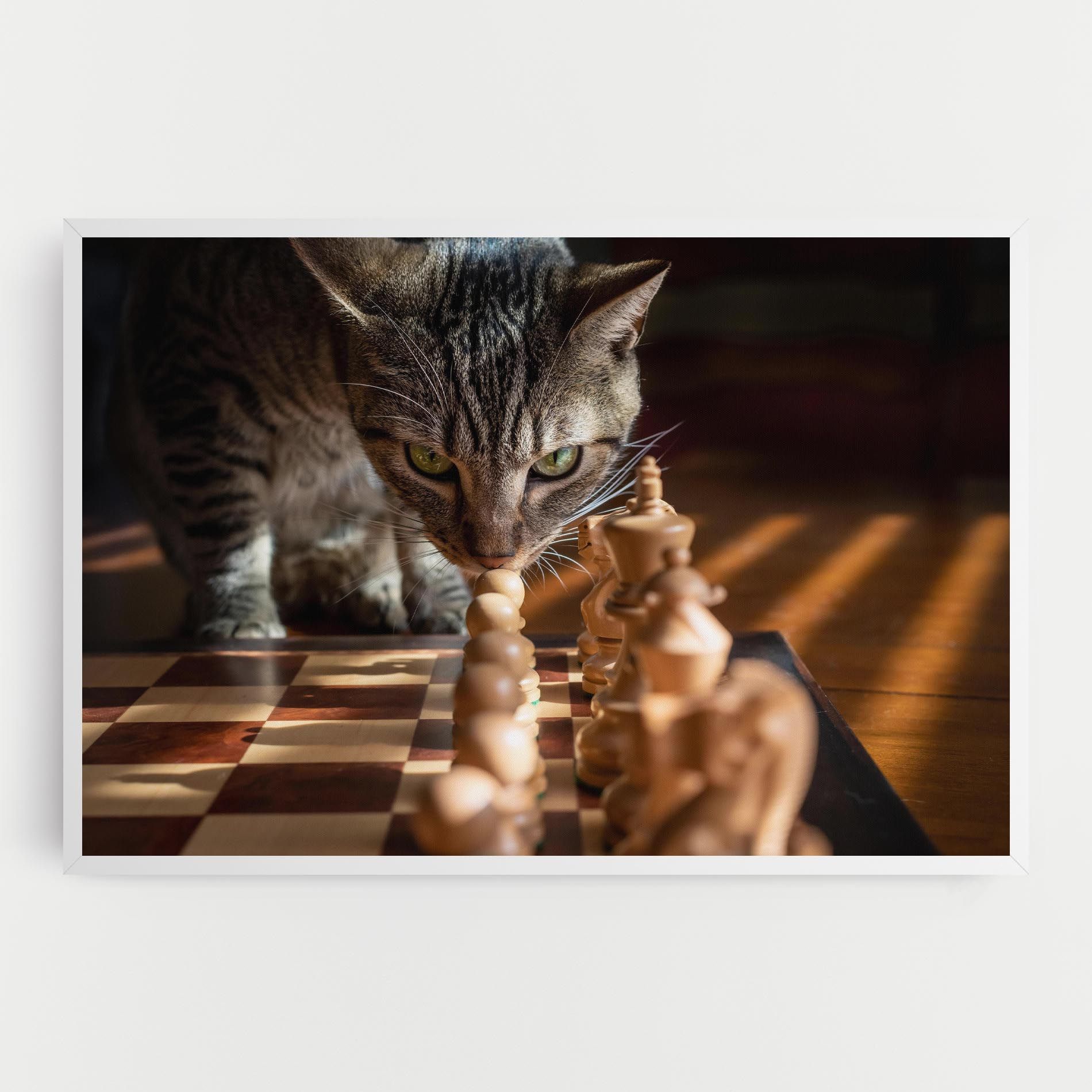 Chess Cat mockup 0