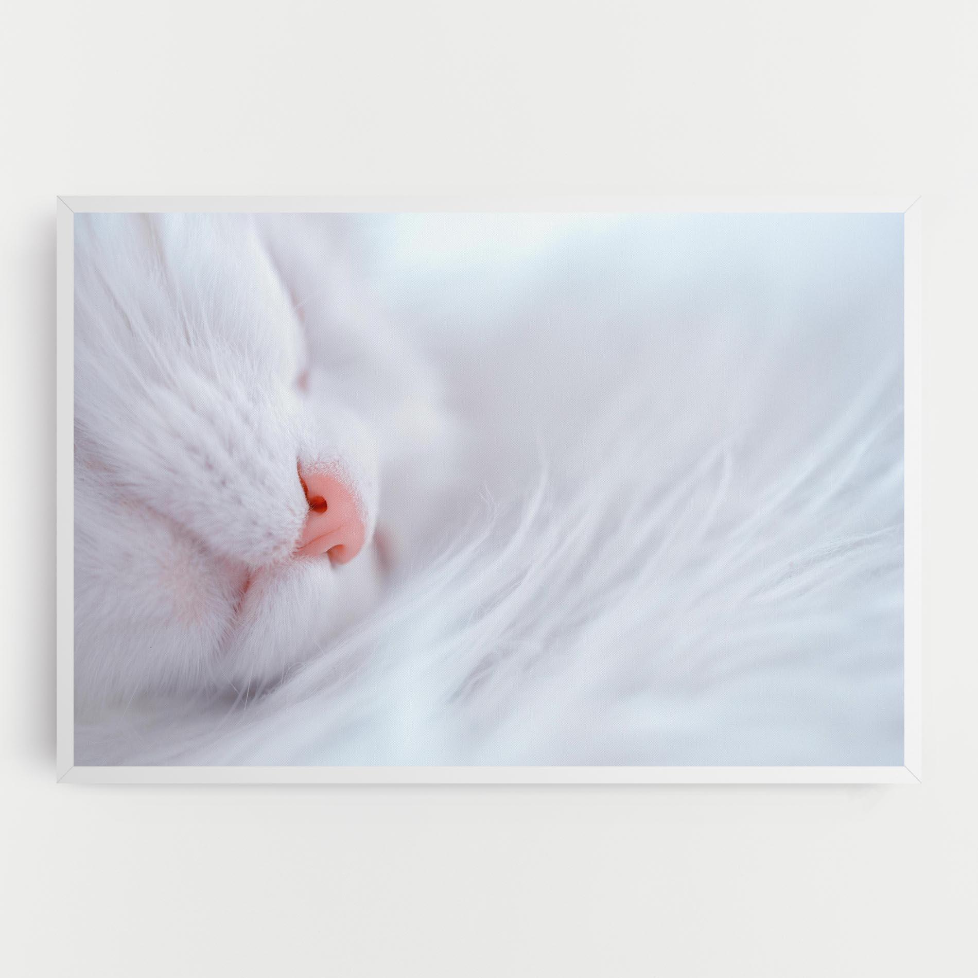 Leinwandbild Dreamy White Cat mockup 0