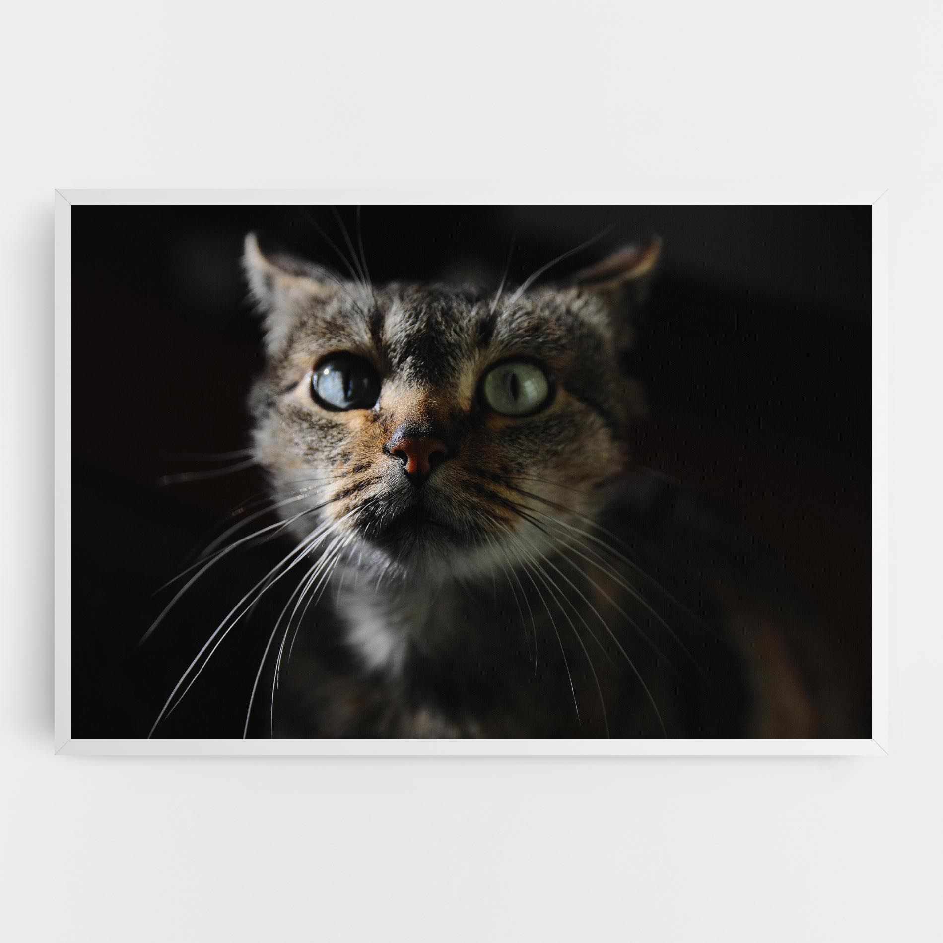 Playful Cat mockup 0