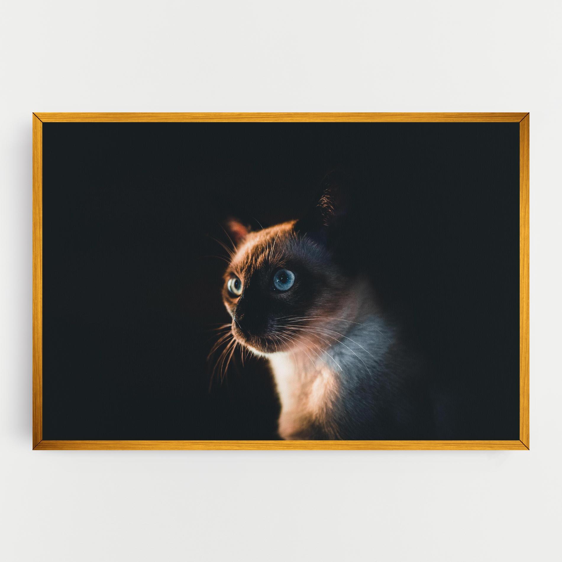 Leinwandbild Blue Eyes Cat In Dark mockup 0
