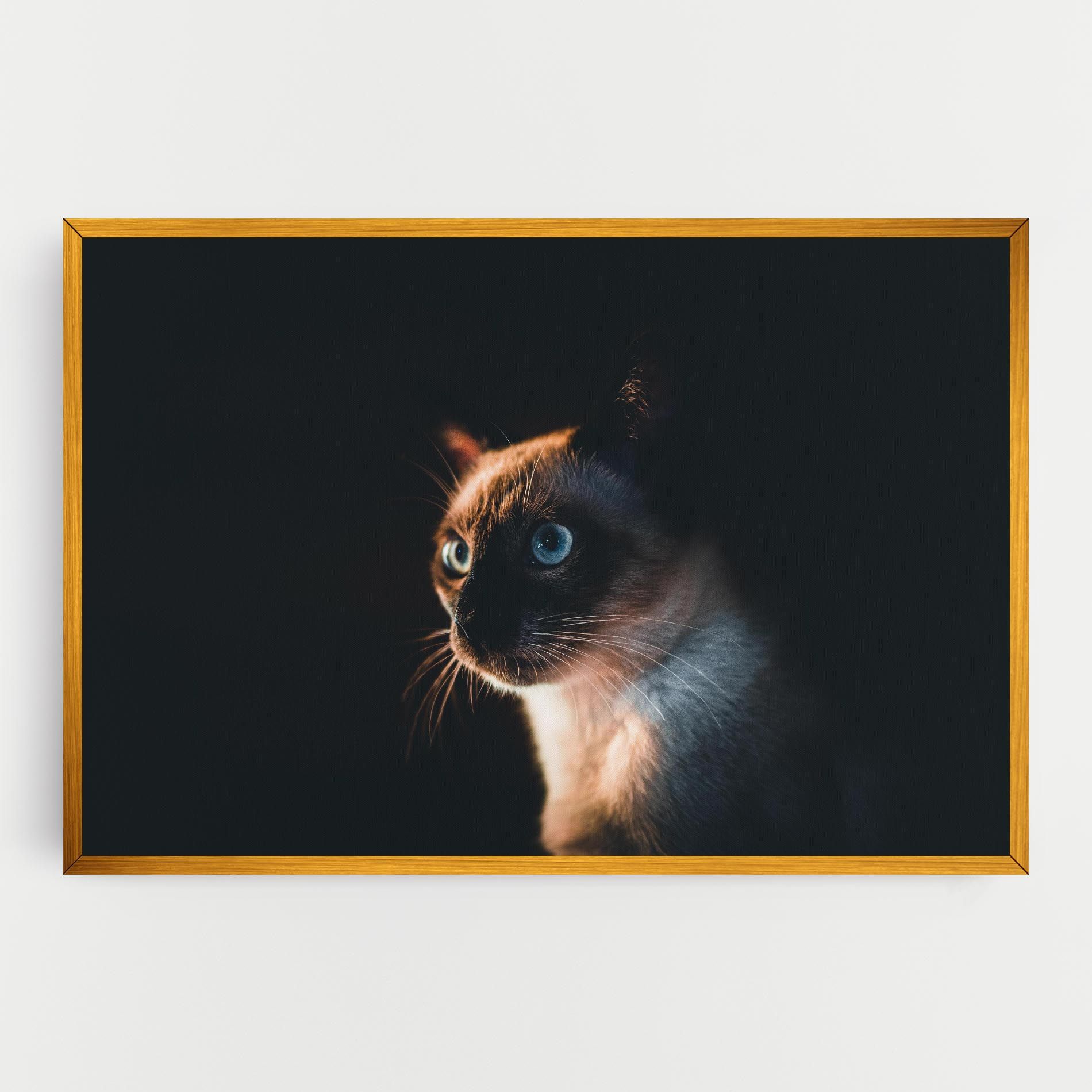 Blue Eyes Cat In Dark mockup 0