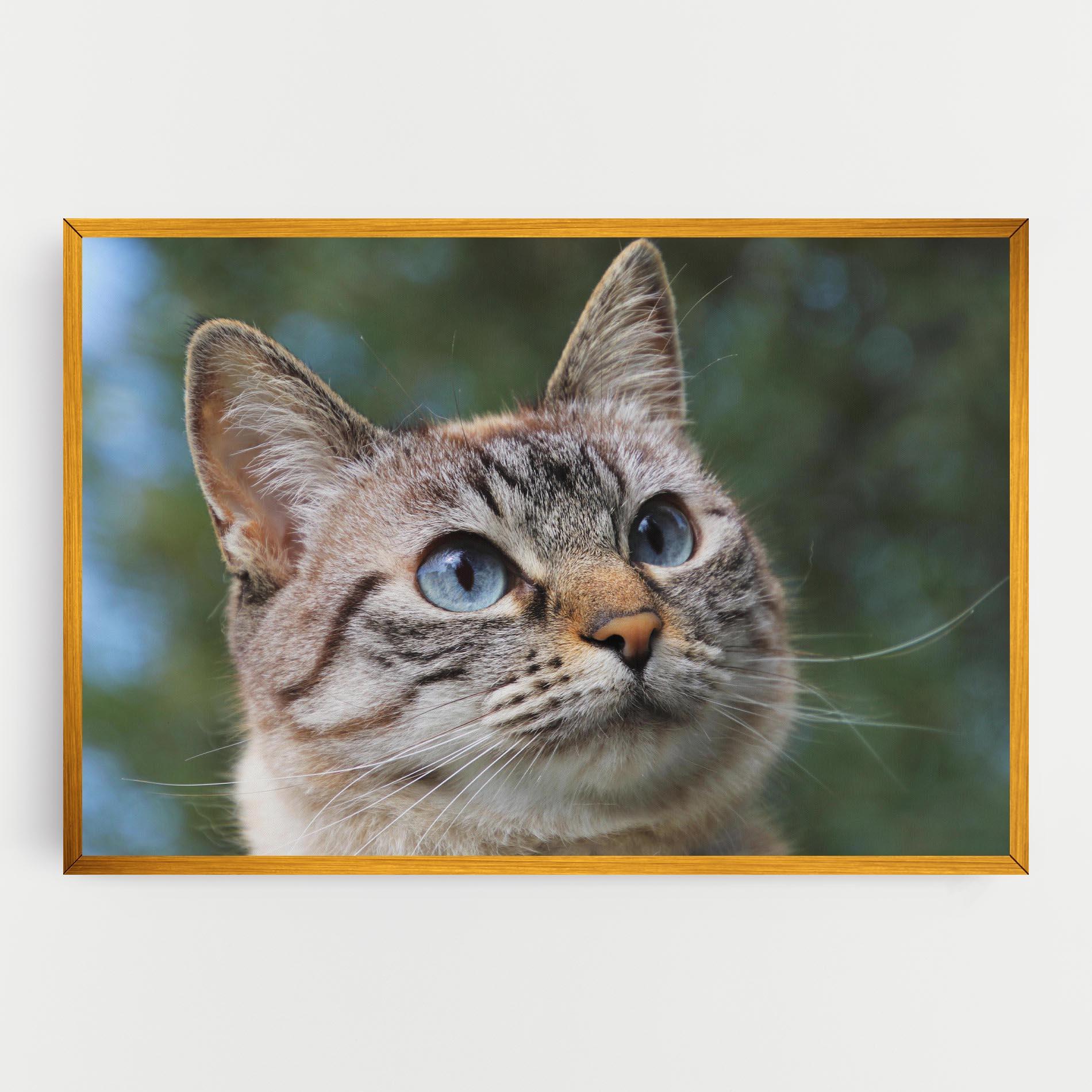 Leinwandbild Blue Eyes Cutie mockup 0