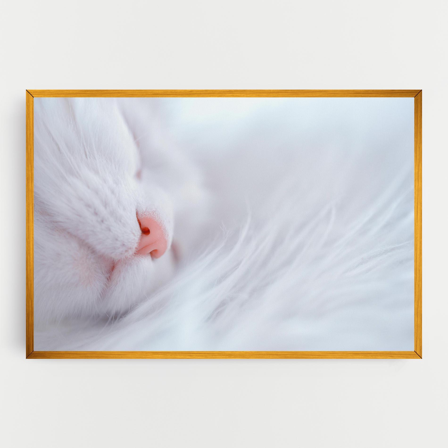 Leinwandbild Dreamy White Cat mockup 0