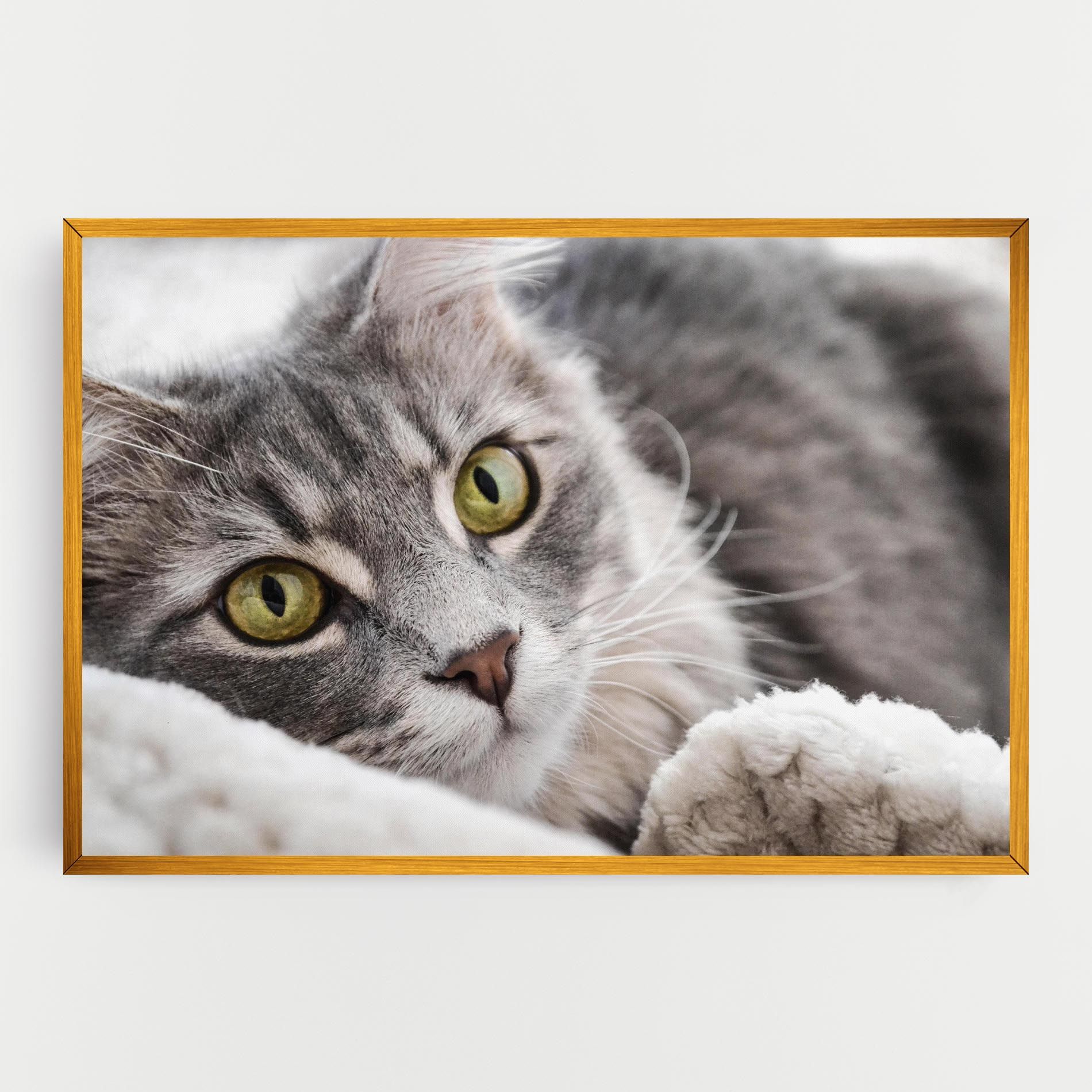 Grey Fluffy Cat mockup 0