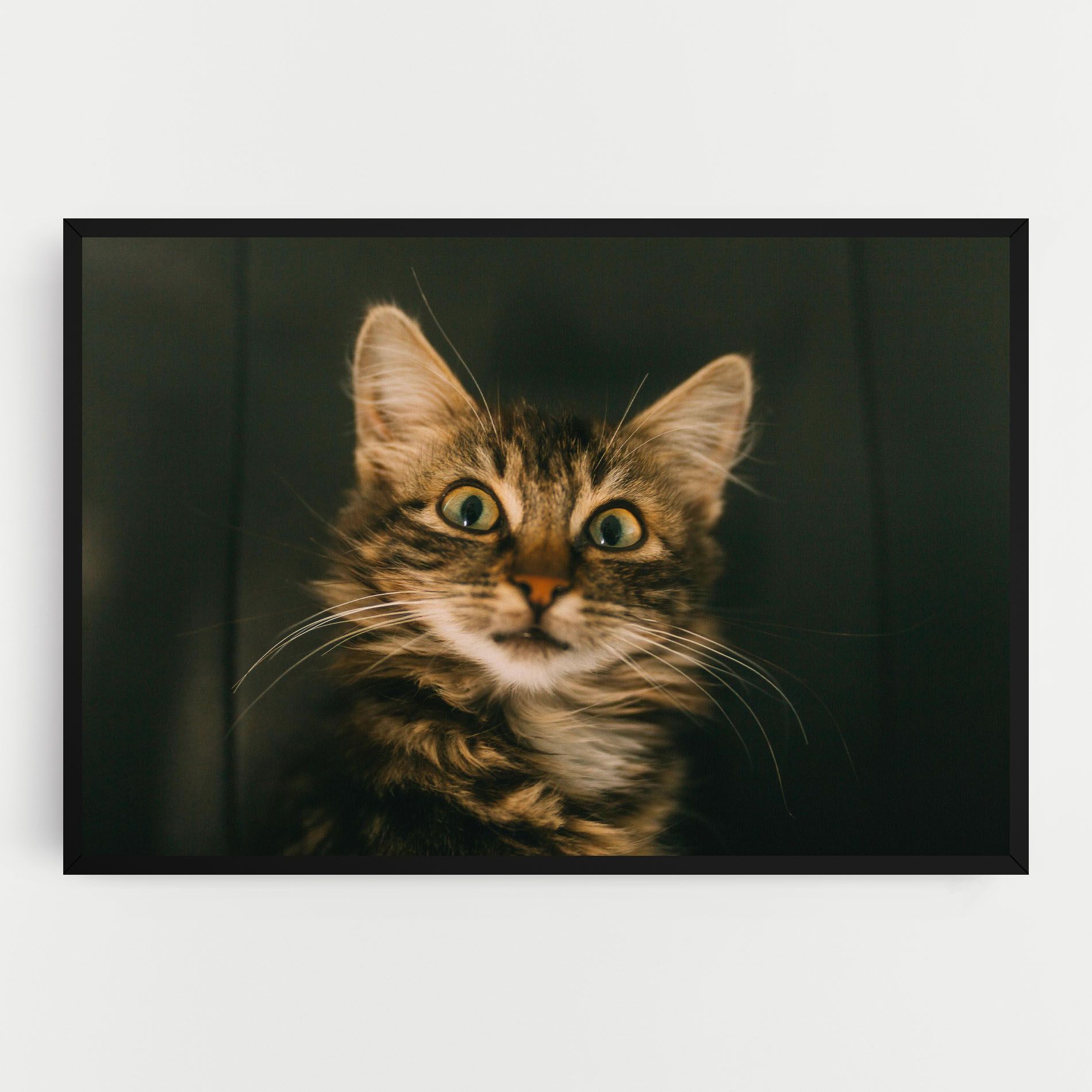 Amazed Cat mockup 0