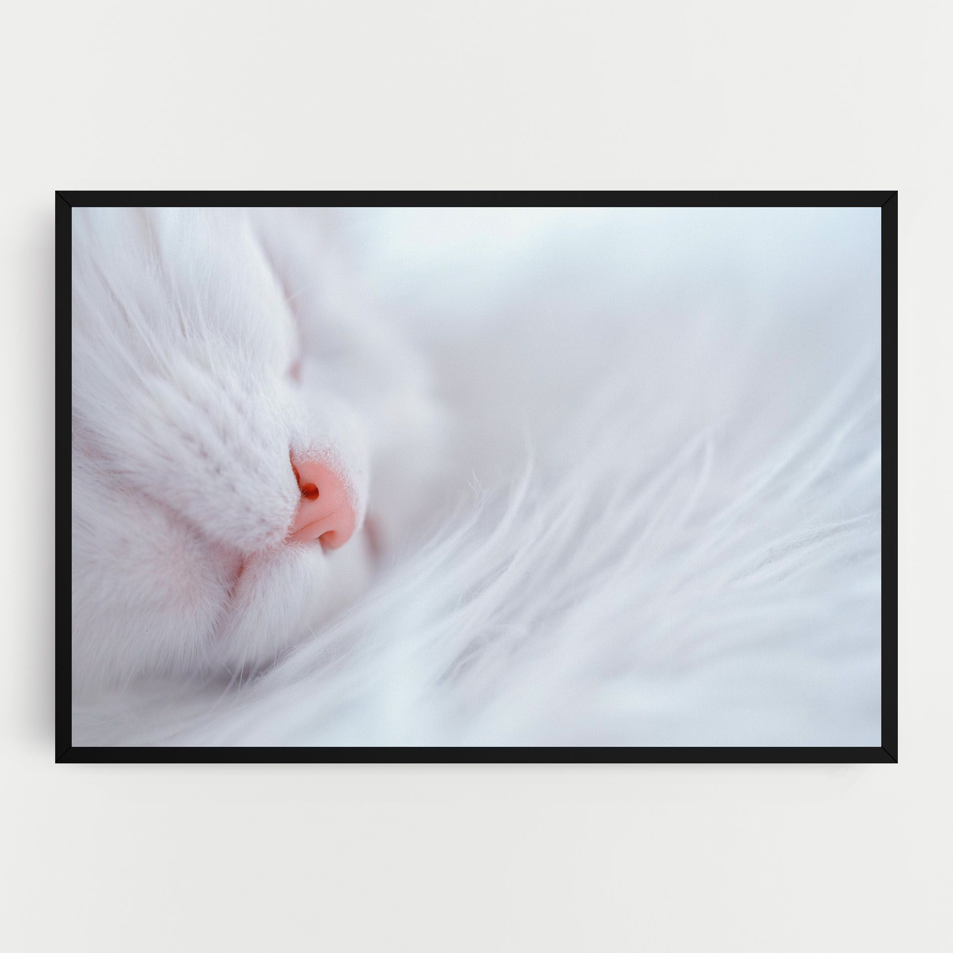 Dreamy White Cat mockup 0