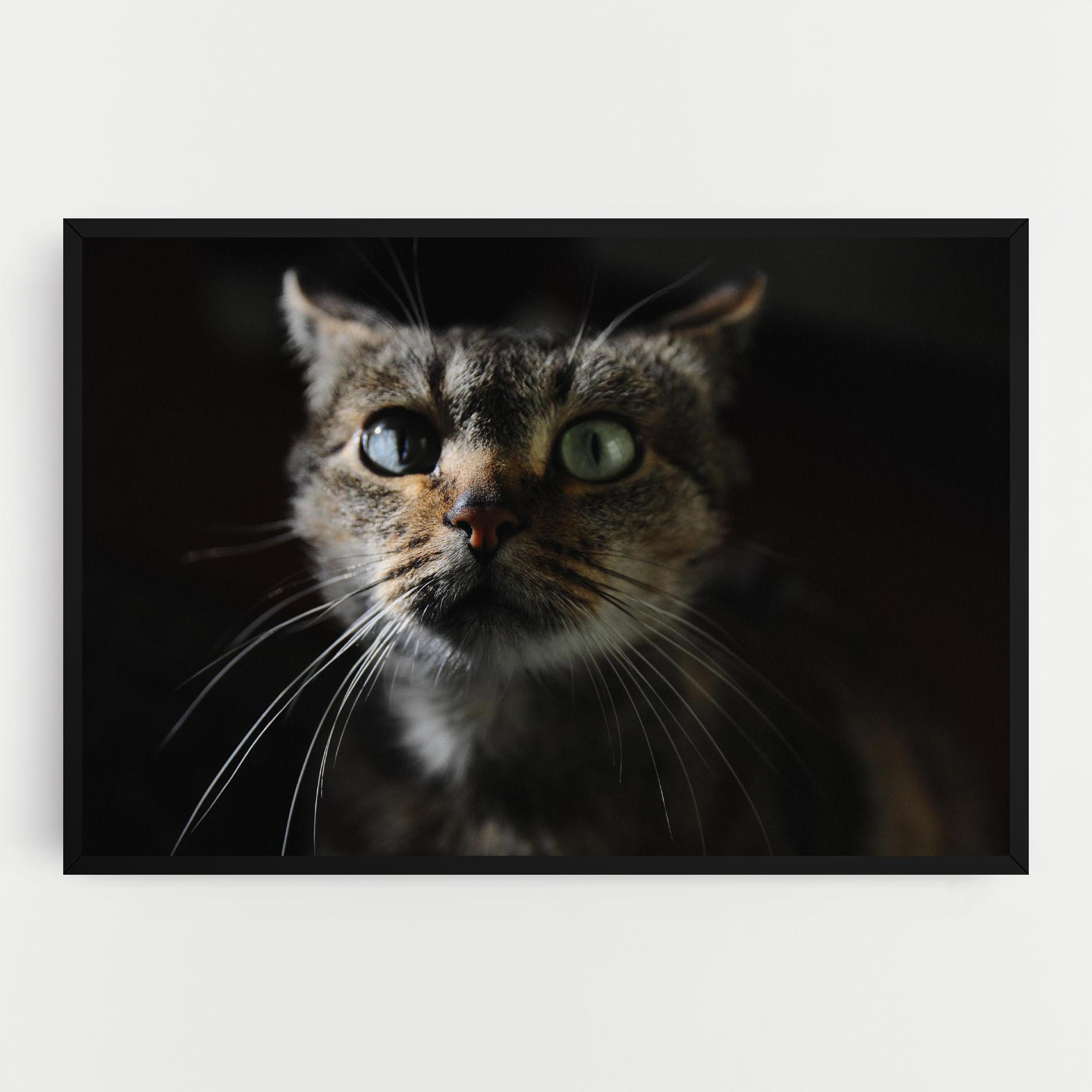 Leinwandbild Playful Cat mockup 0