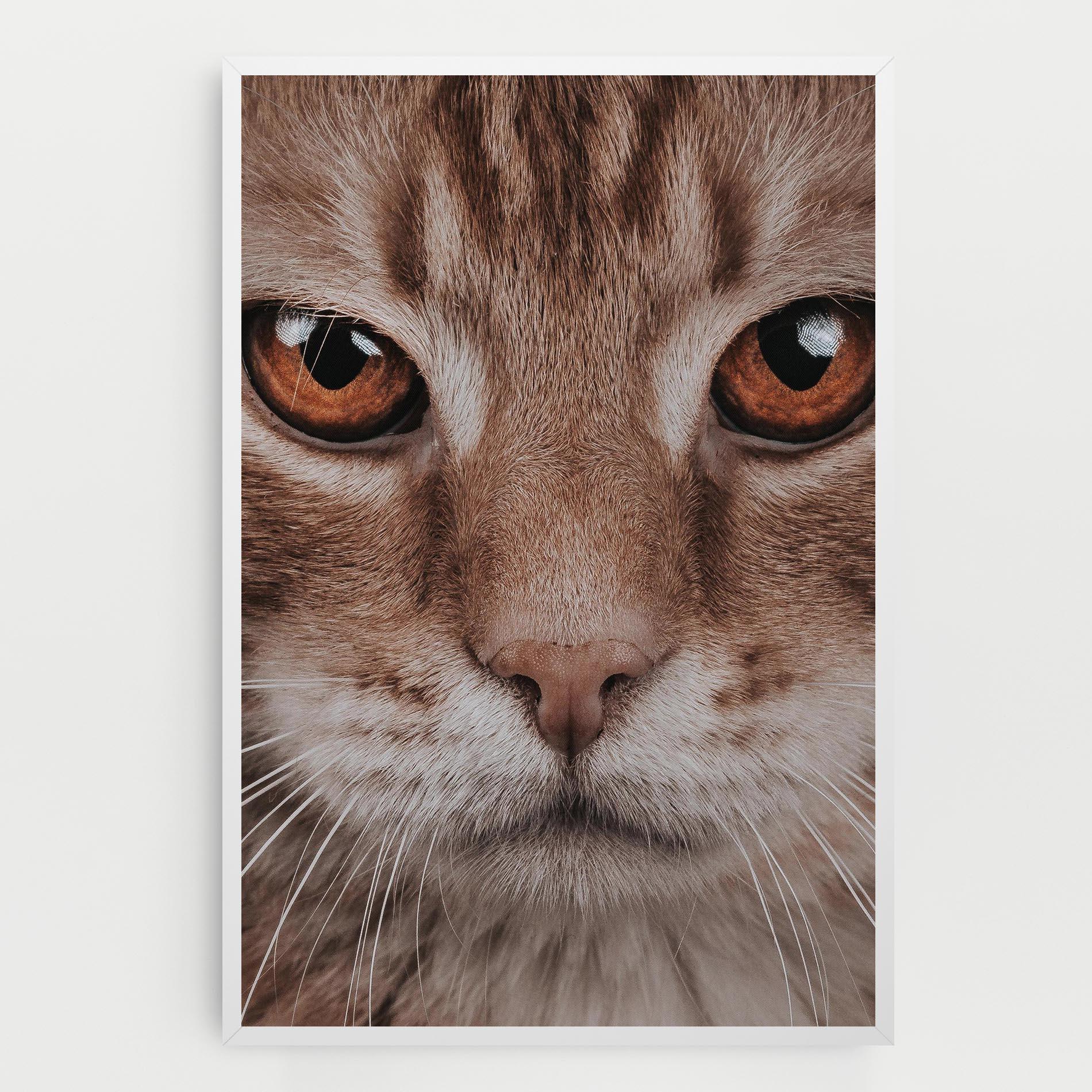 Leinwandbild Fire Eyes Cat mockup 0