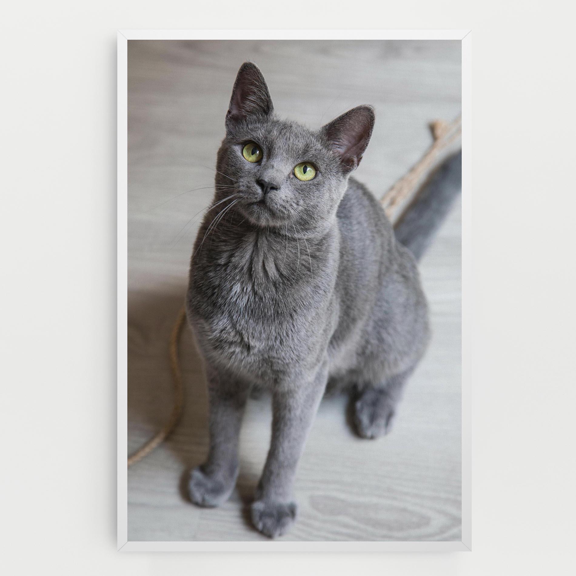 Leinwandbild Grey Green Cat Eyes mockup 0