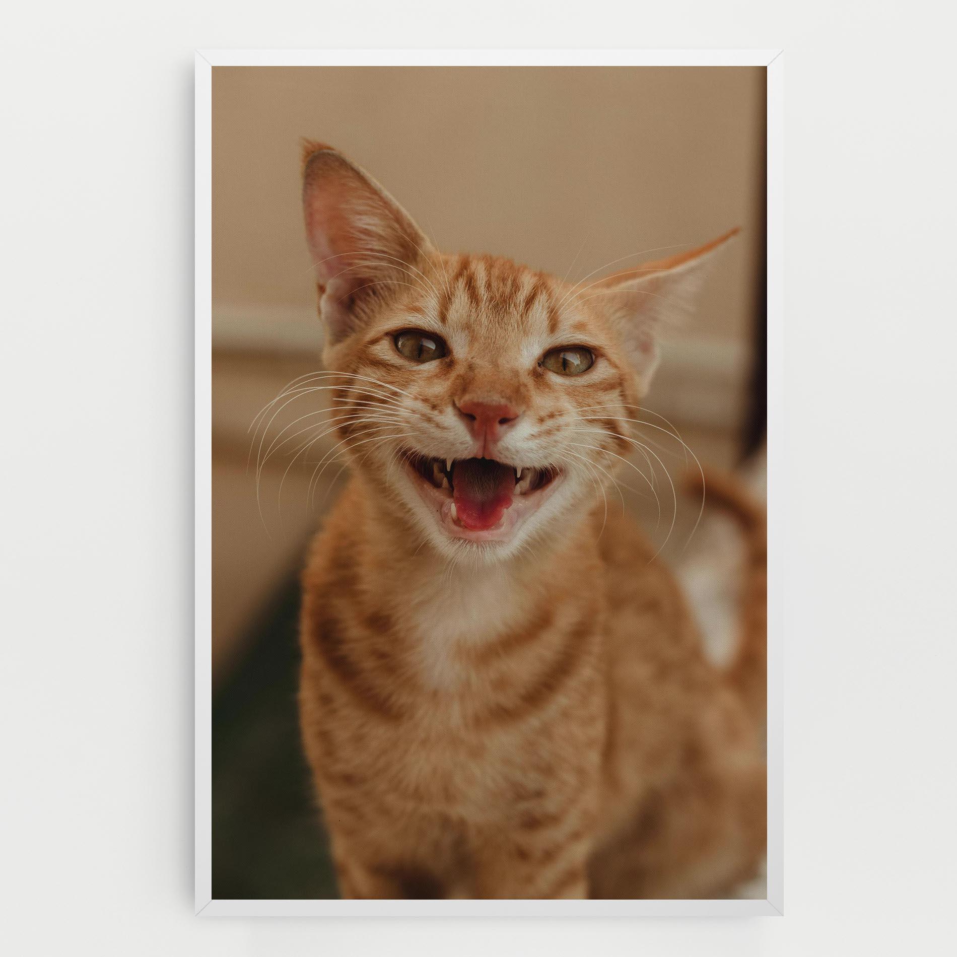 Leinwandbild Orange Cat Smiling mockup 0