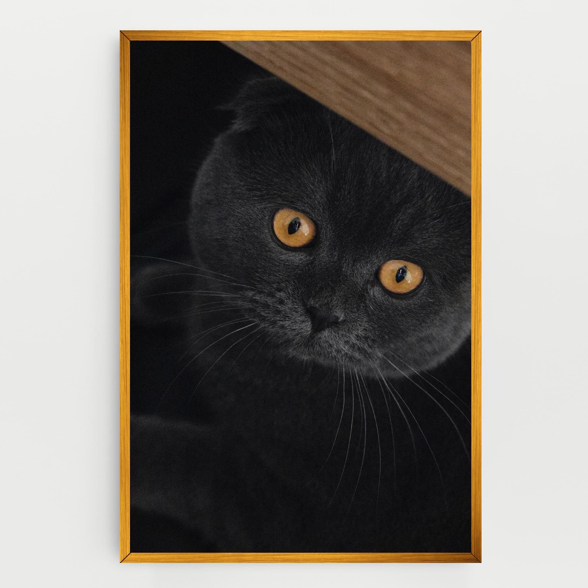 Grey Cat With Orange Eyes mockup 0
