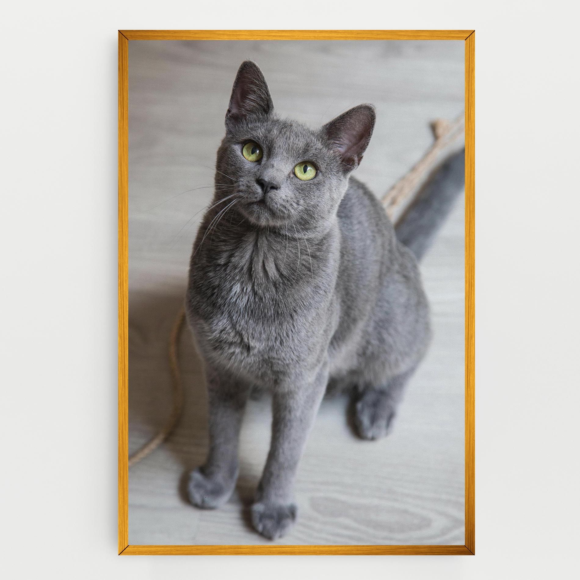 Grey Green Cat Eyes mockup 0