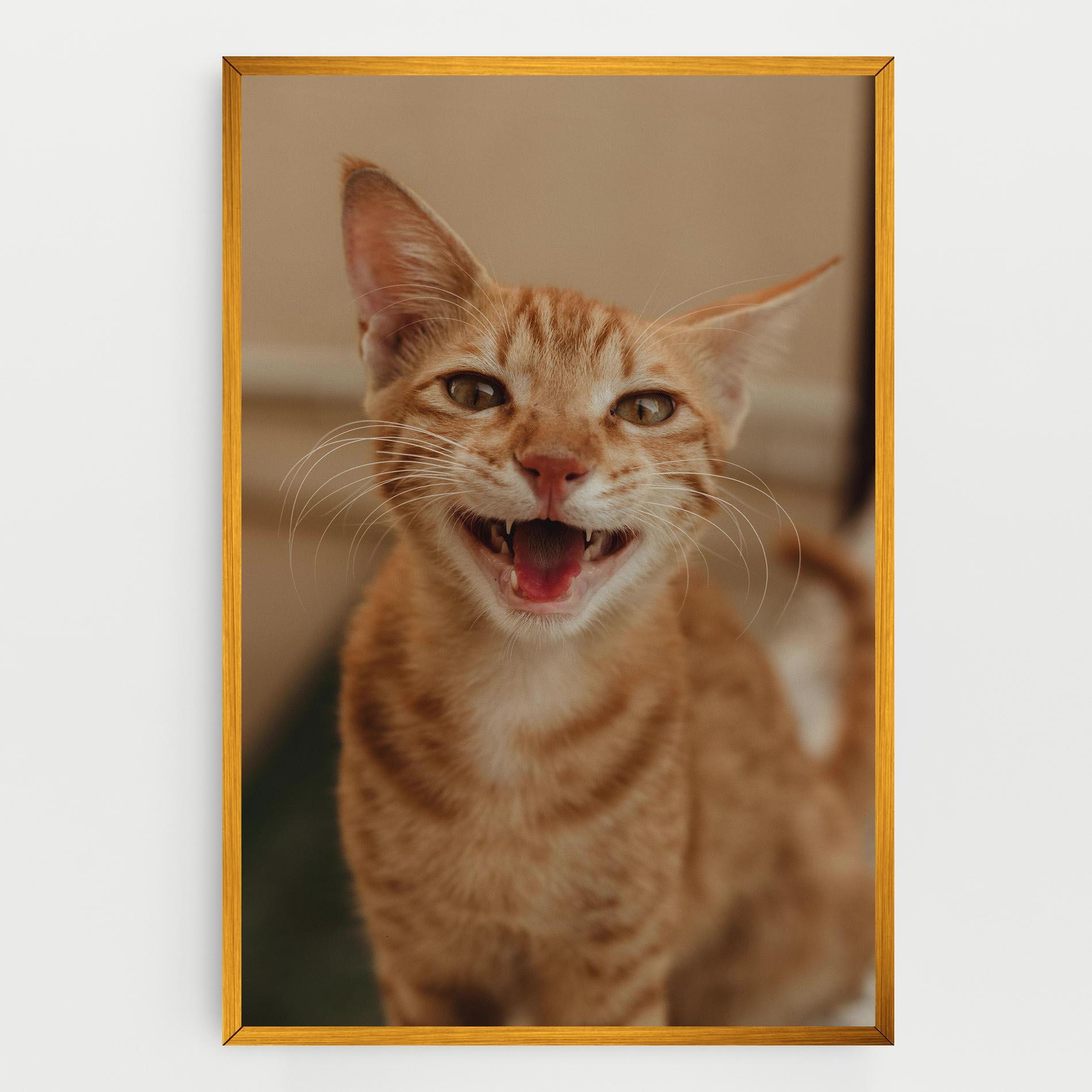 Leinwandbild Orange Cat Smiling mockup 0