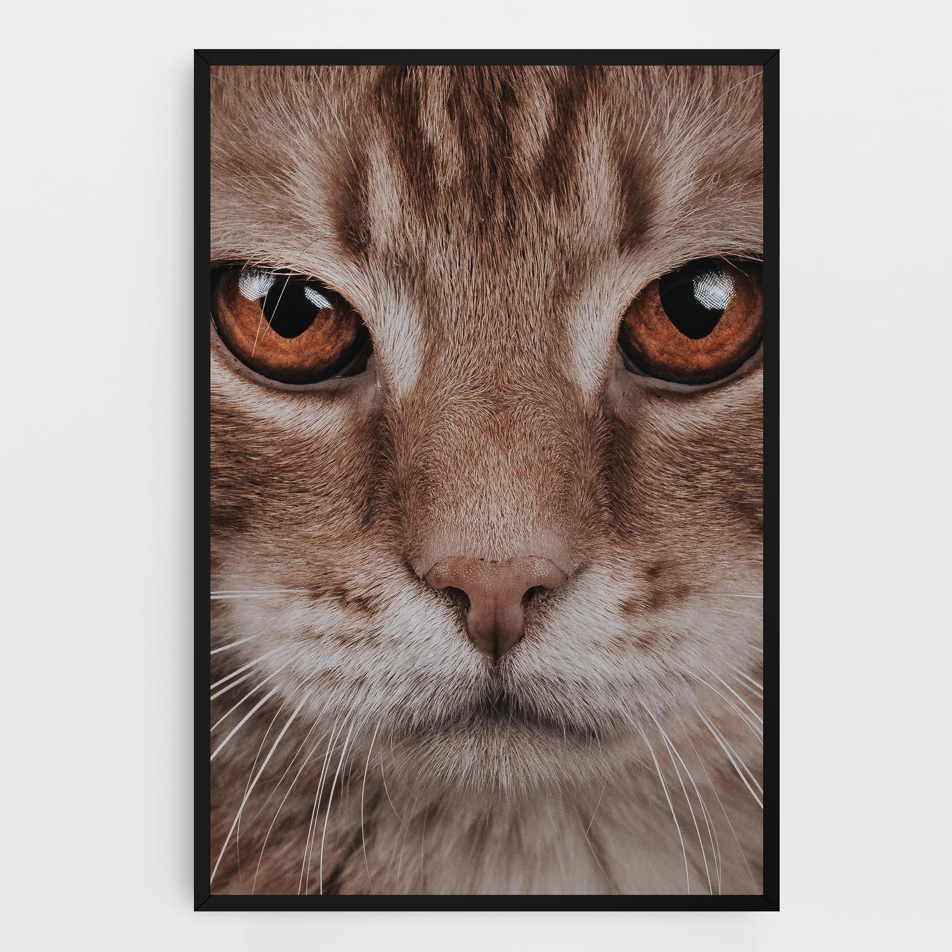 Leinwandbild Fire Eyes Cat mockup 0
