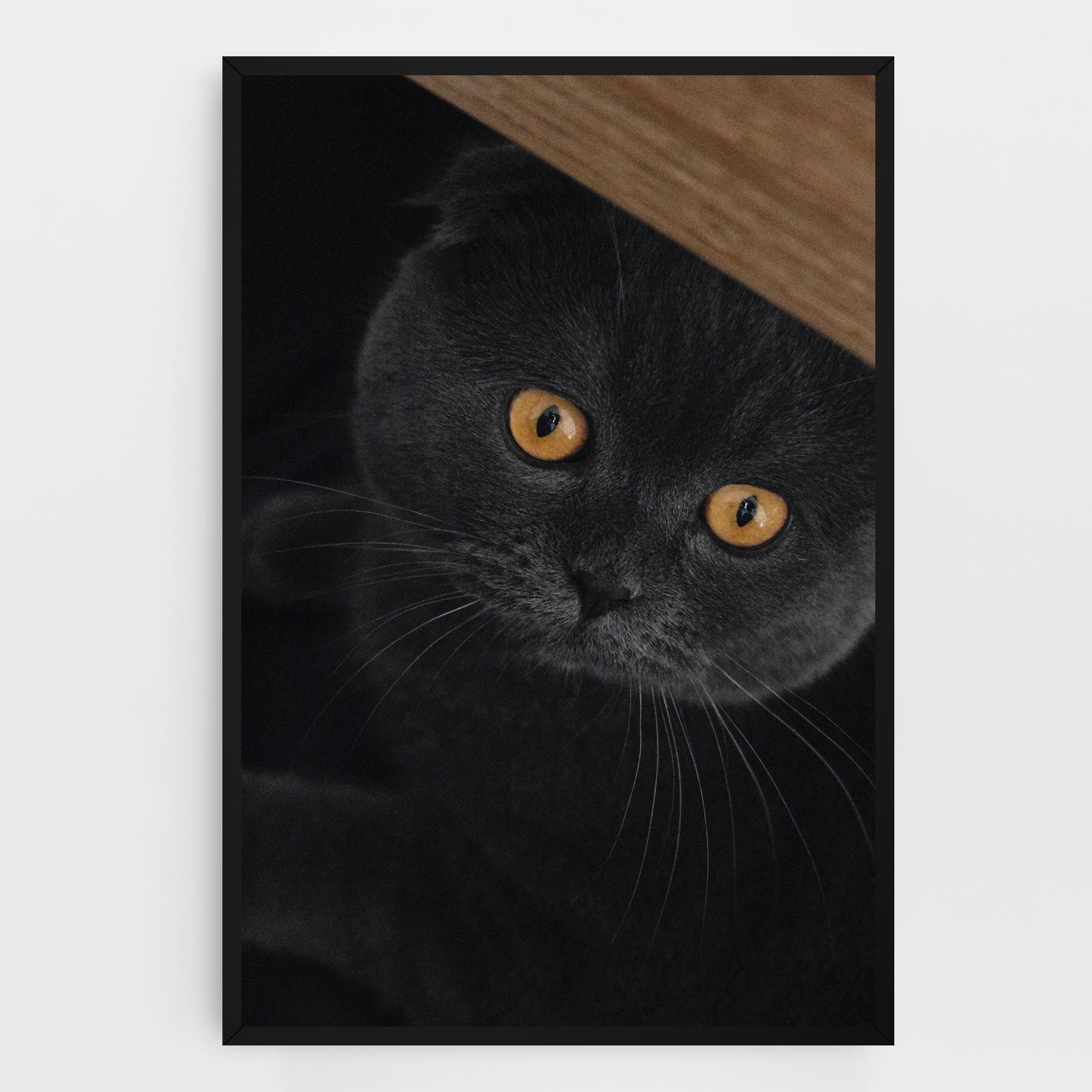 Grey Cat With Orange Eyes mockup 0