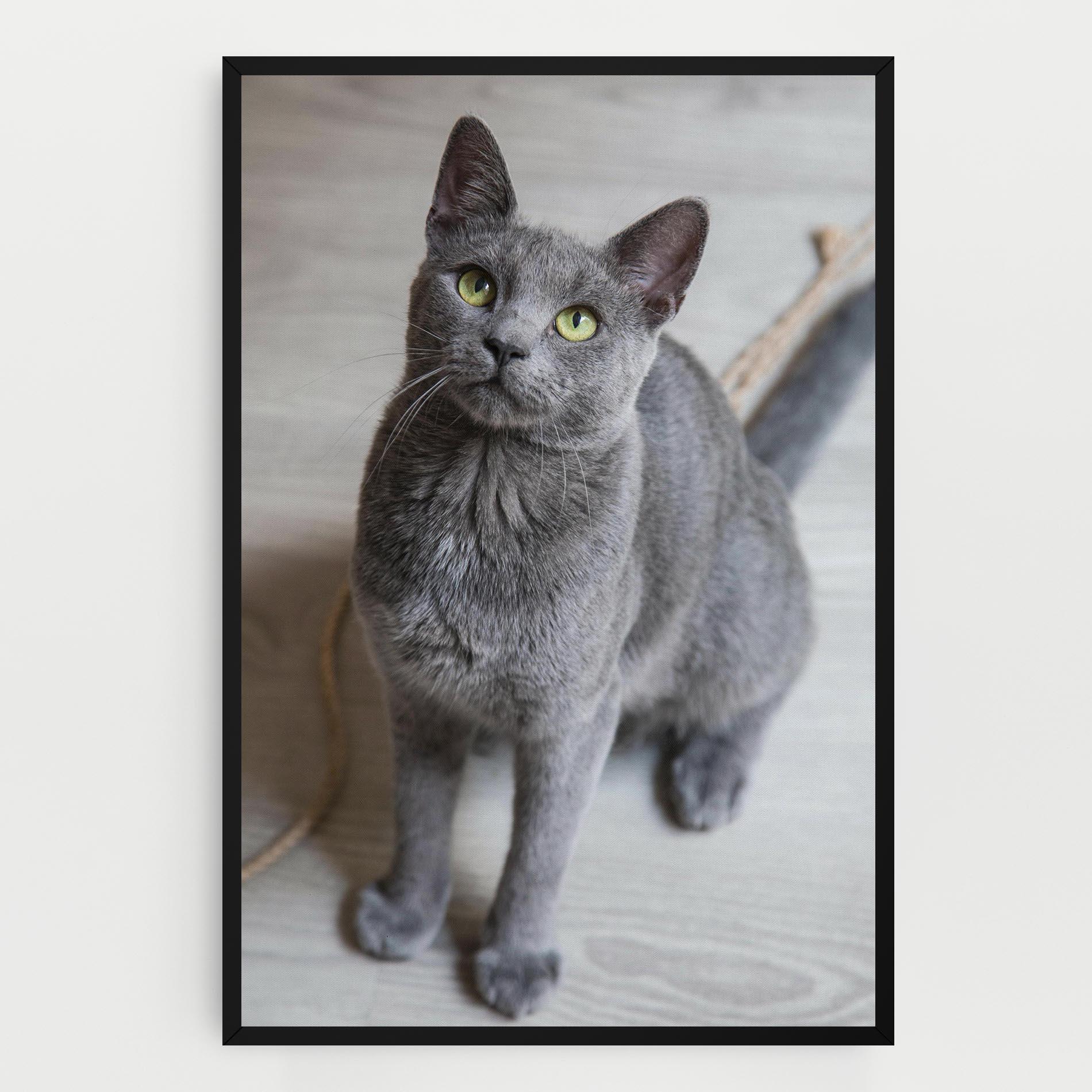 Leinwandbild Grey Green Cat Eyes mockup 0