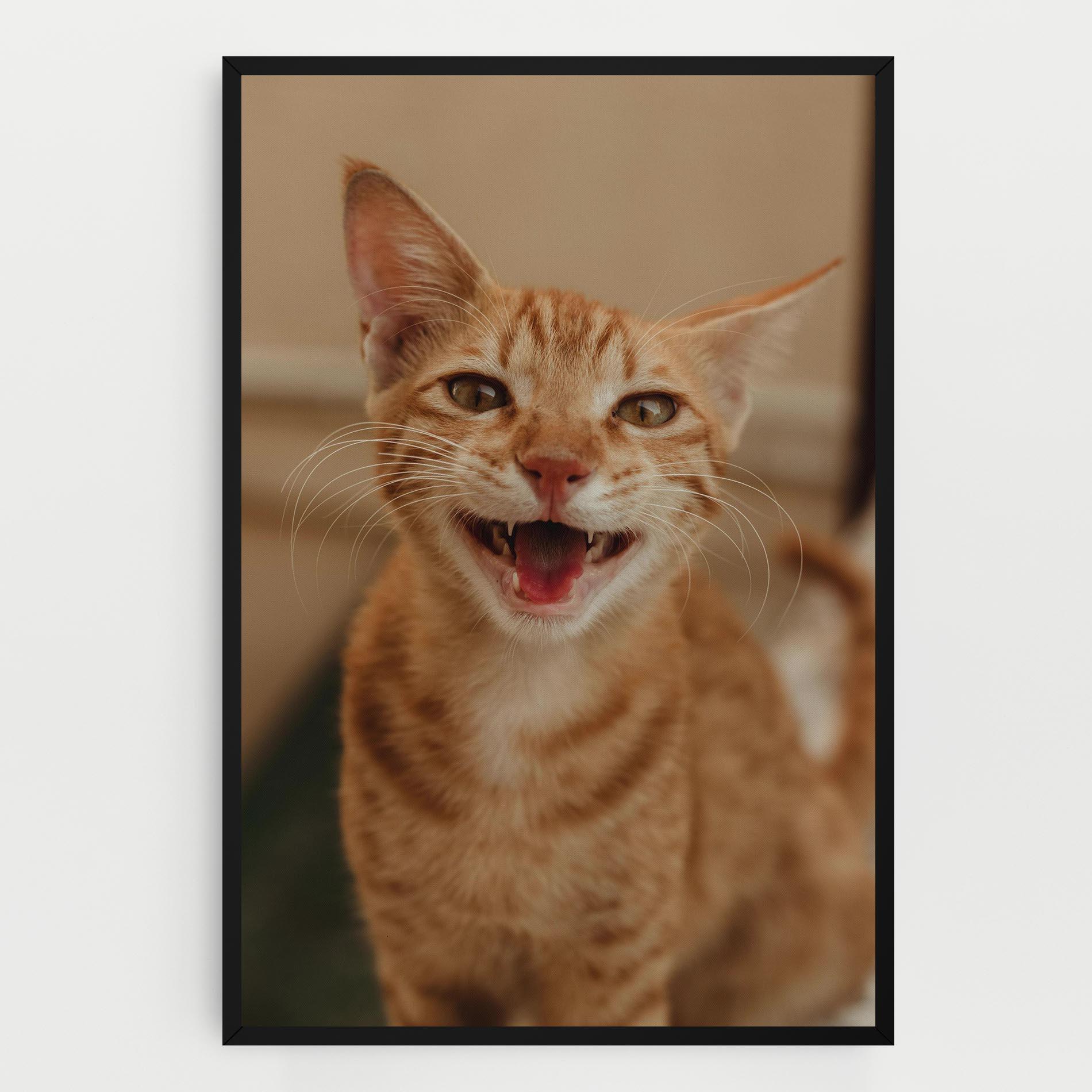 Leinwandbild Orange Cat Smiling mockup 0