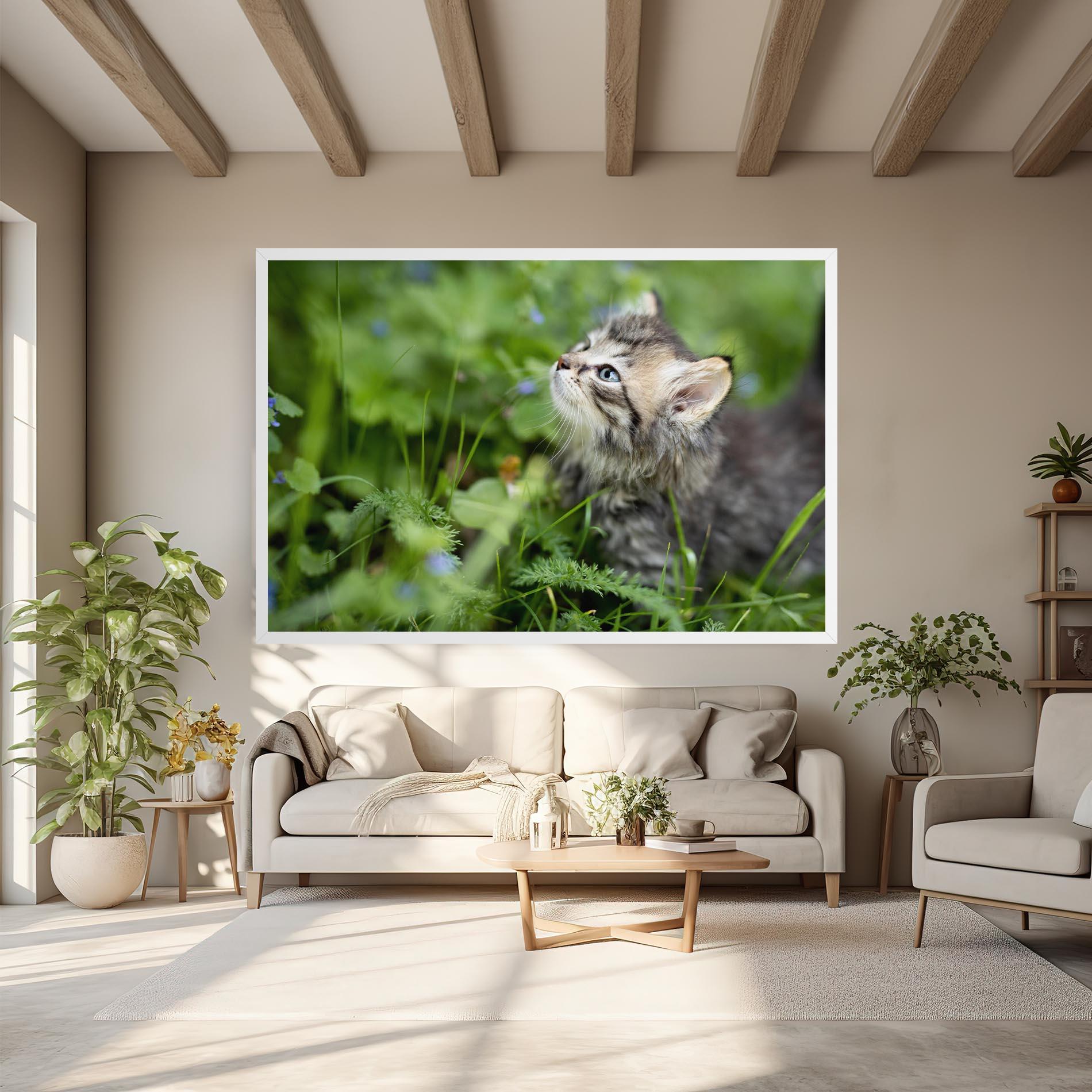Leinwandbild Brown Baby Cat mockup 6