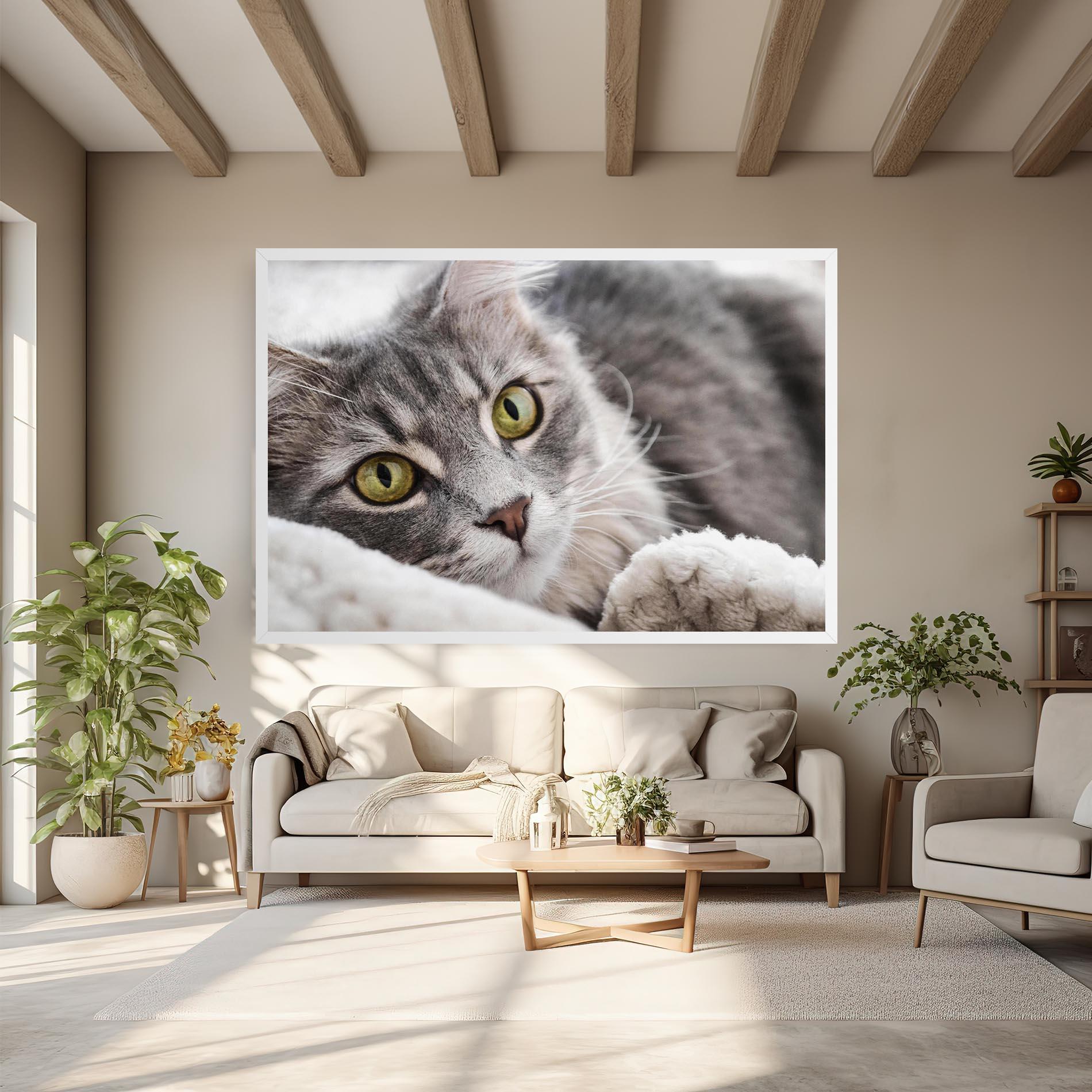 Leinwandbild Grey Fluffy Cat mockup 6