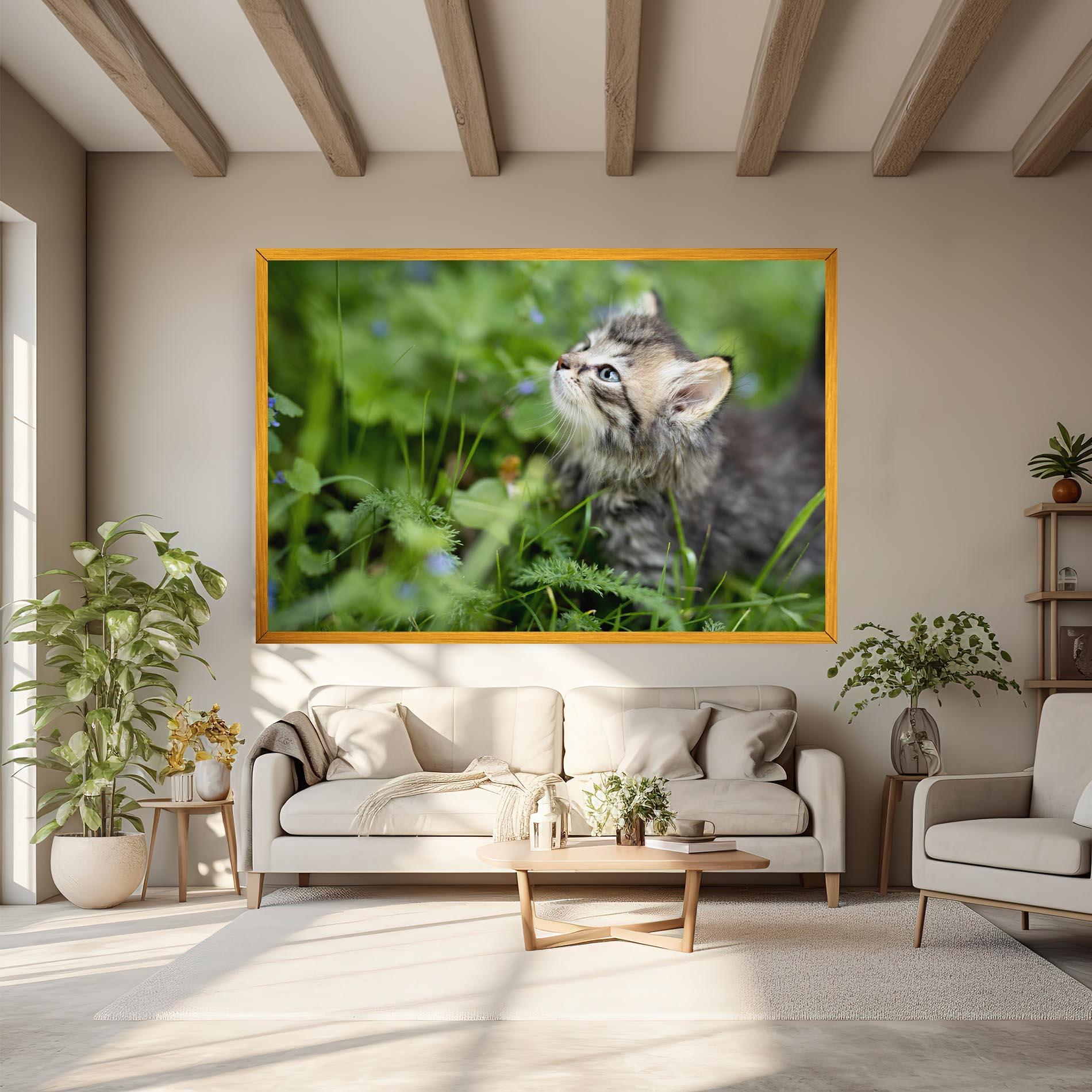 Leinwandbild Brown Baby Cat mockup 6