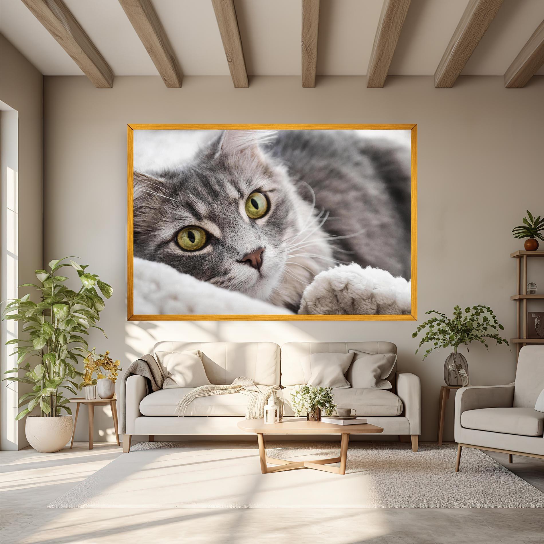 Leinwandbild Grey Fluffy Cat mockup 6