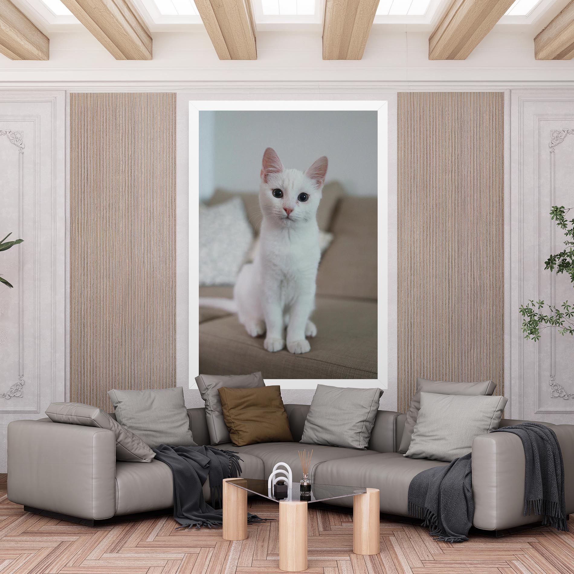 Beautiful White Cat mockup 6