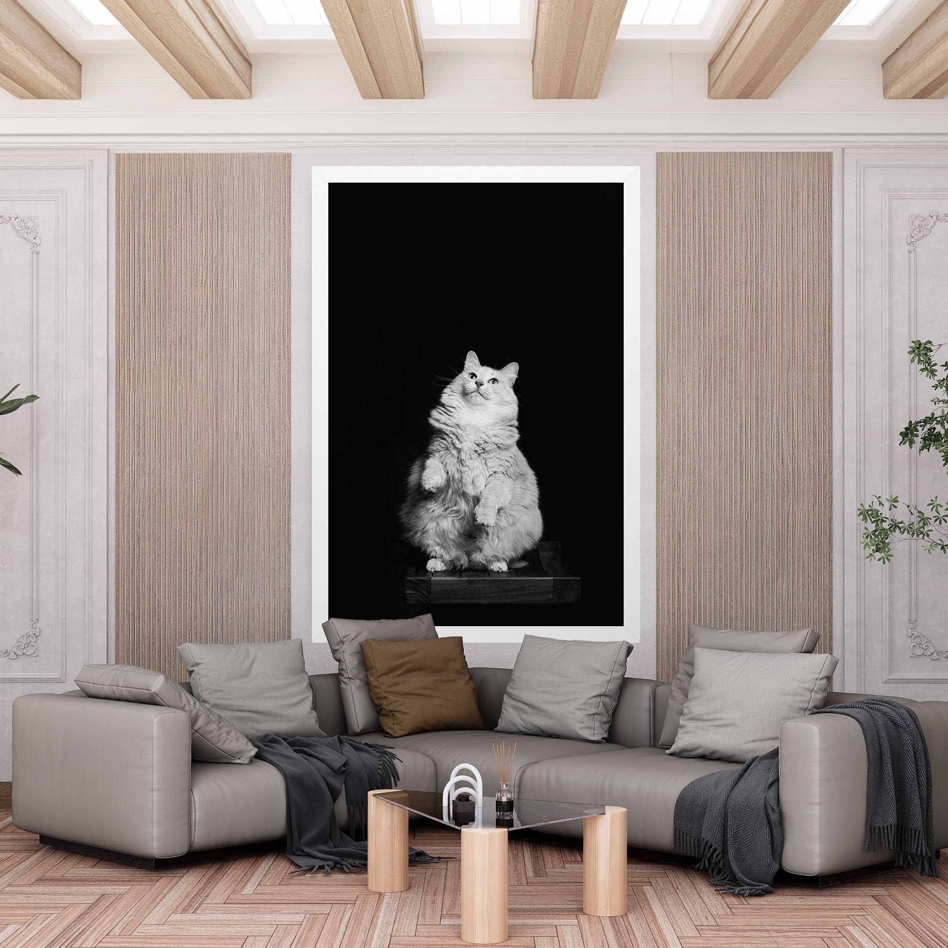 Big Fluffy Cat mockup 6