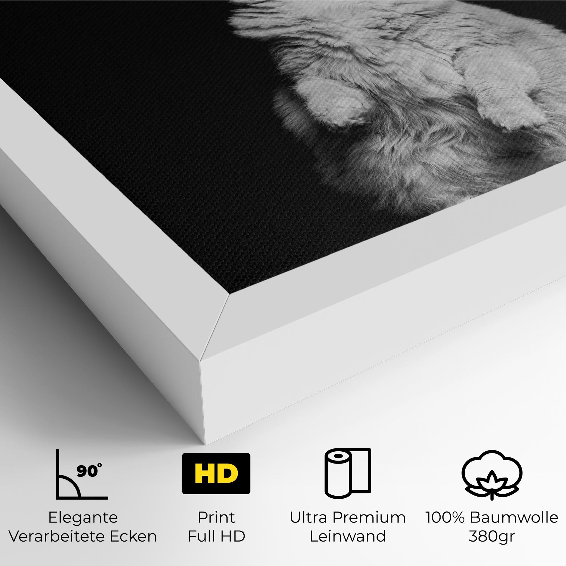 Leinwandbild Big Fluffy Cat mockup 4