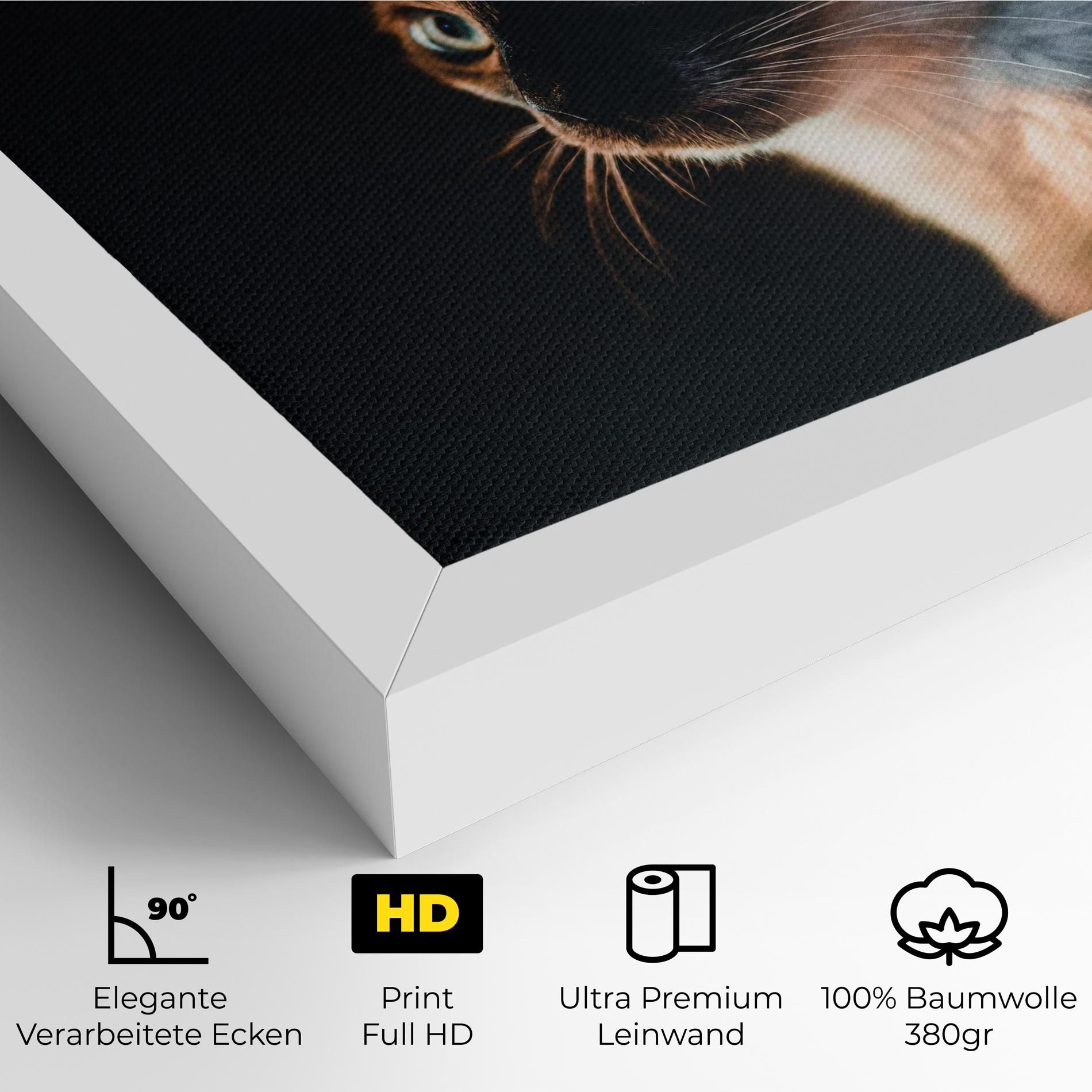 Blue Eyes Cat In Dark mockup 4