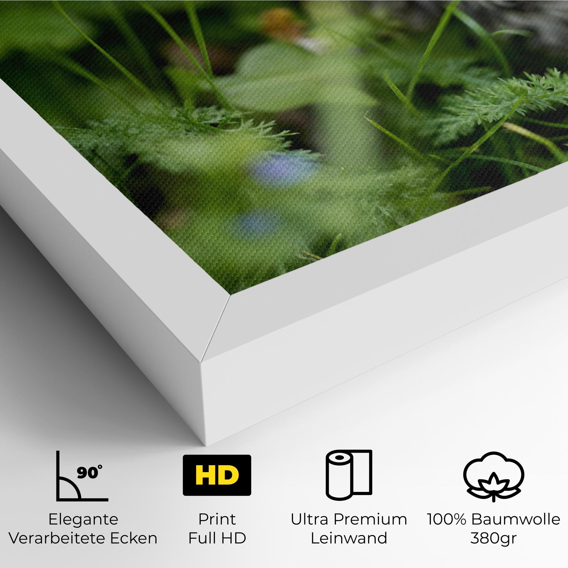 Leinwandbild Brown Baby Cat mockup 4