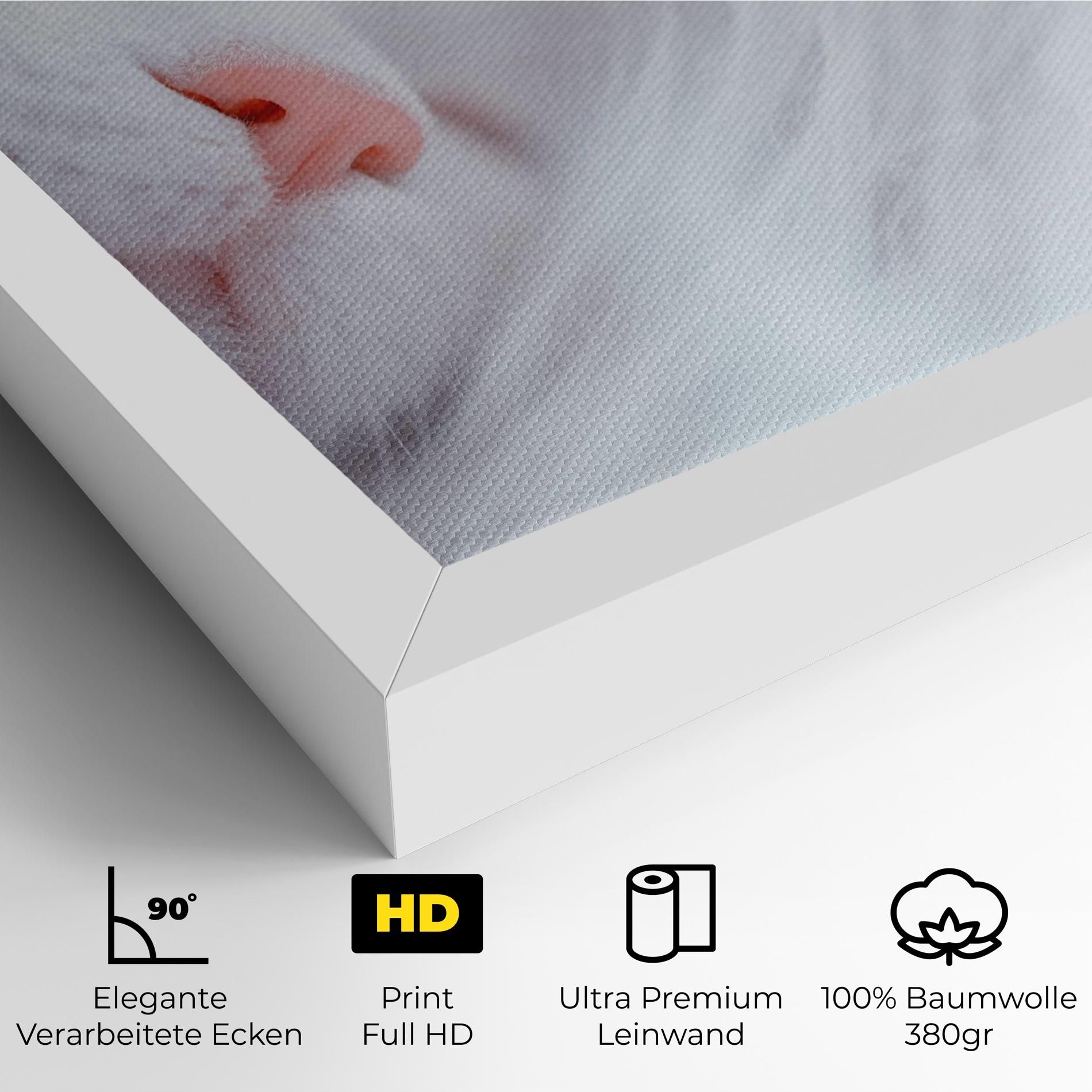 Dreamy White Cat mockup 4
