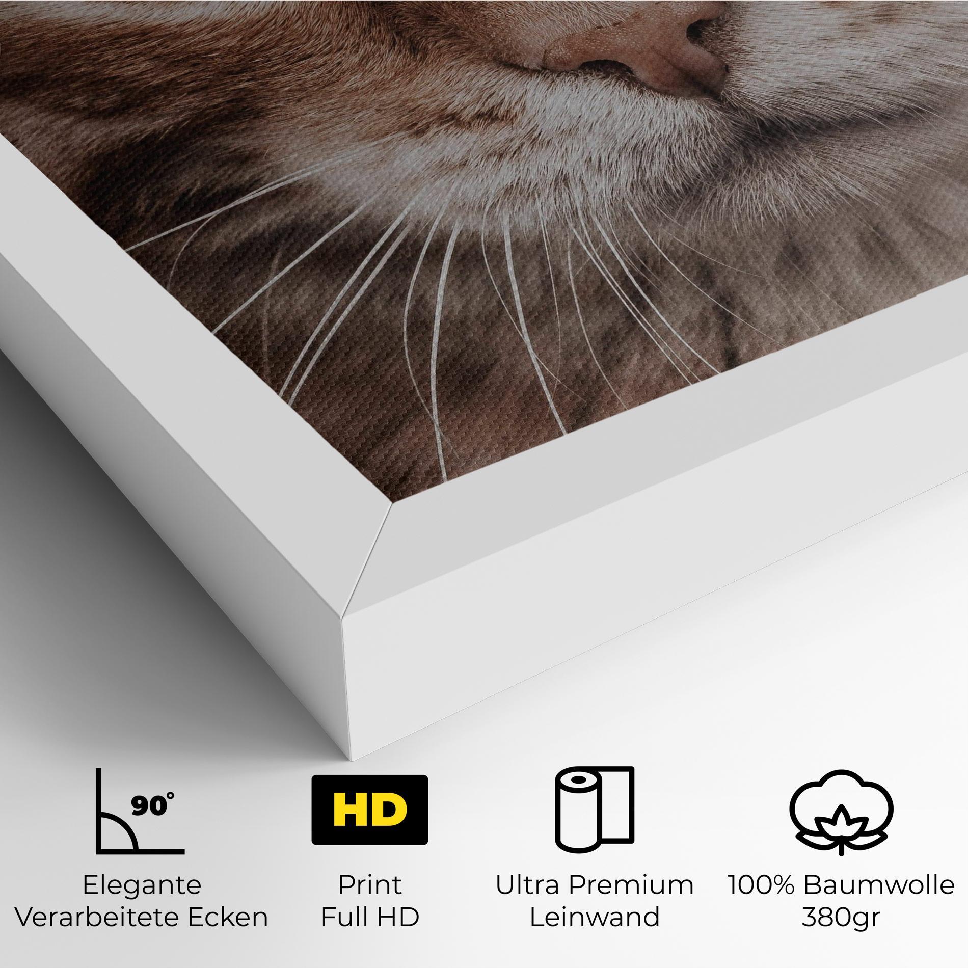 Leinwandbild Fire Eyes Cat mockup 4