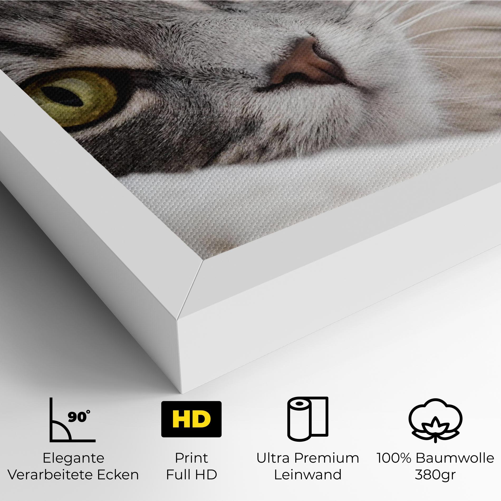 Leinwandbild Grey Fluffy Cat mockup 4