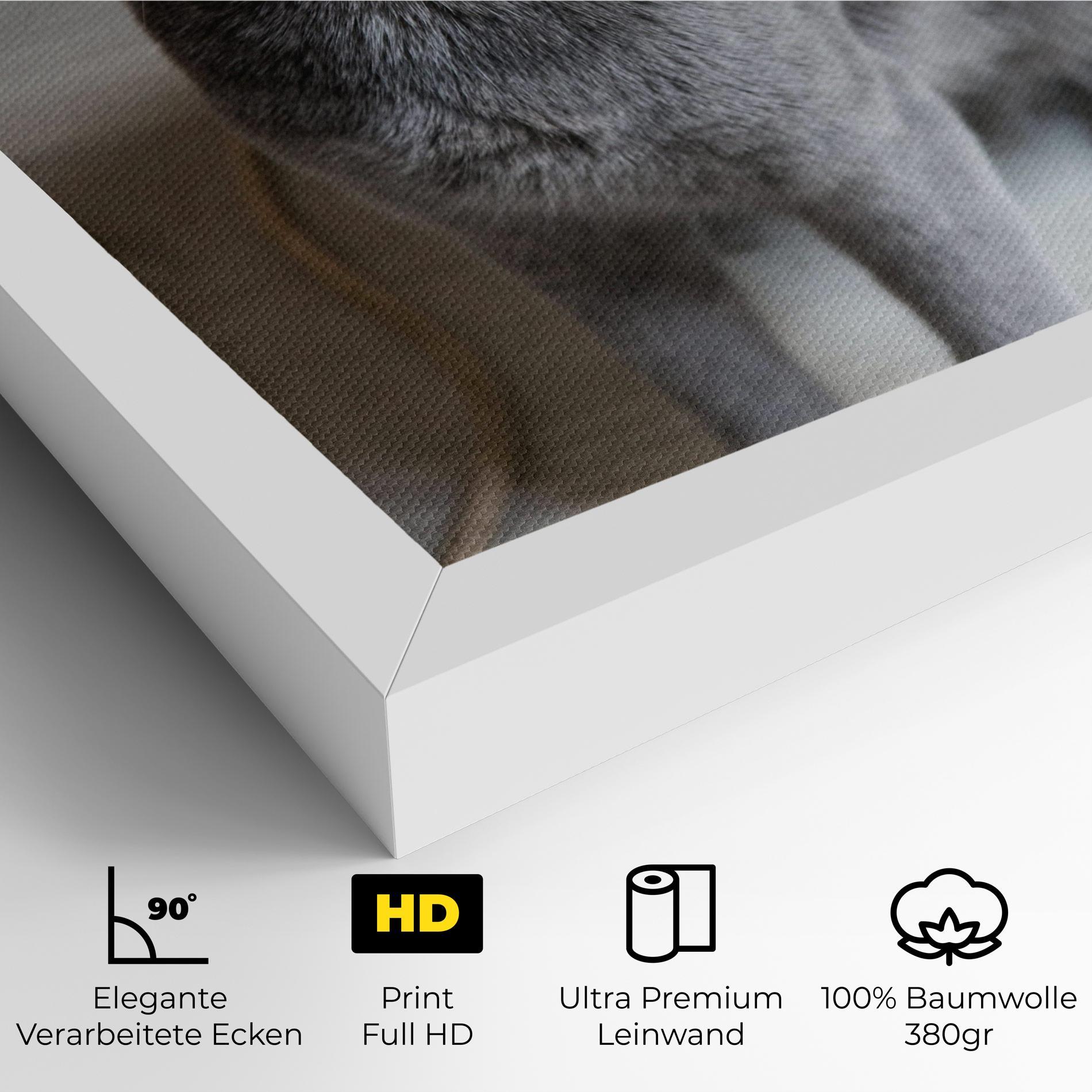 Leinwandbild Grey Green Cat Eyes mockup 4