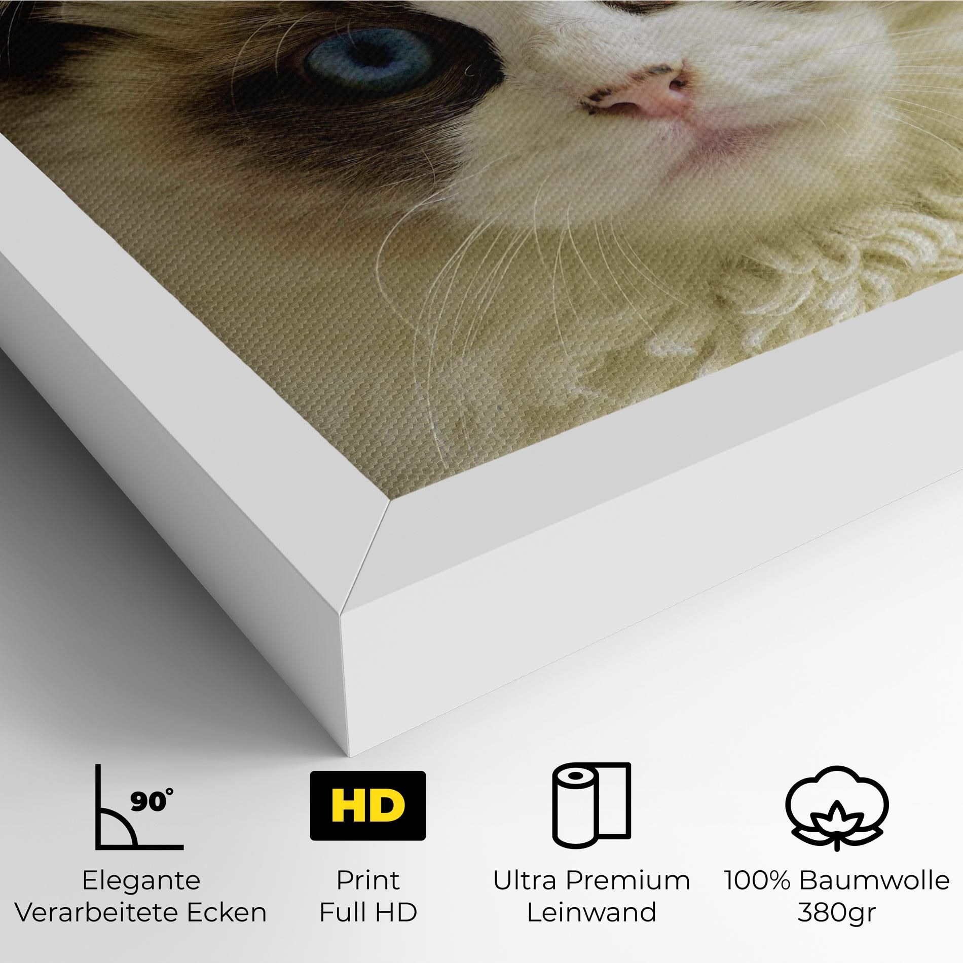 Interesting Blue Eyes Cat mockup 4