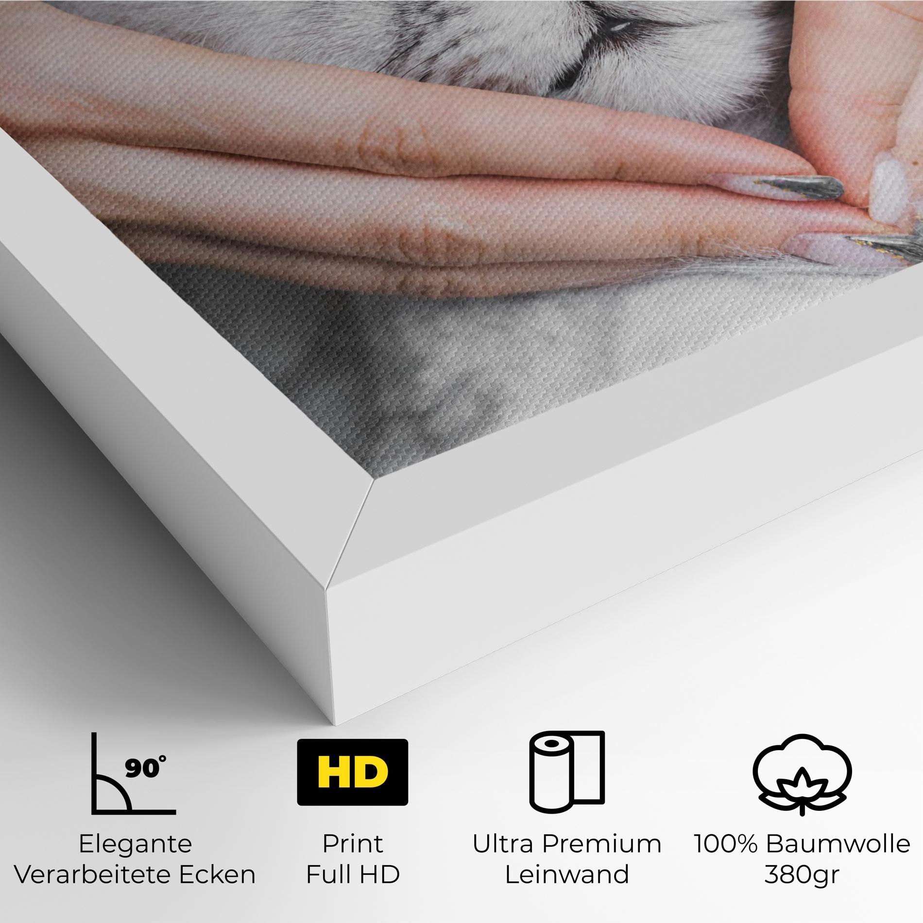 Leinwandbild Lovely Cat mockup 4