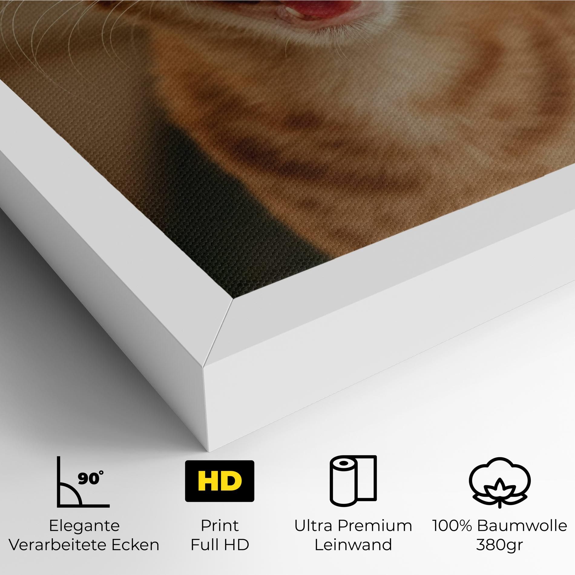 Orange Cat Smiling mockup 4