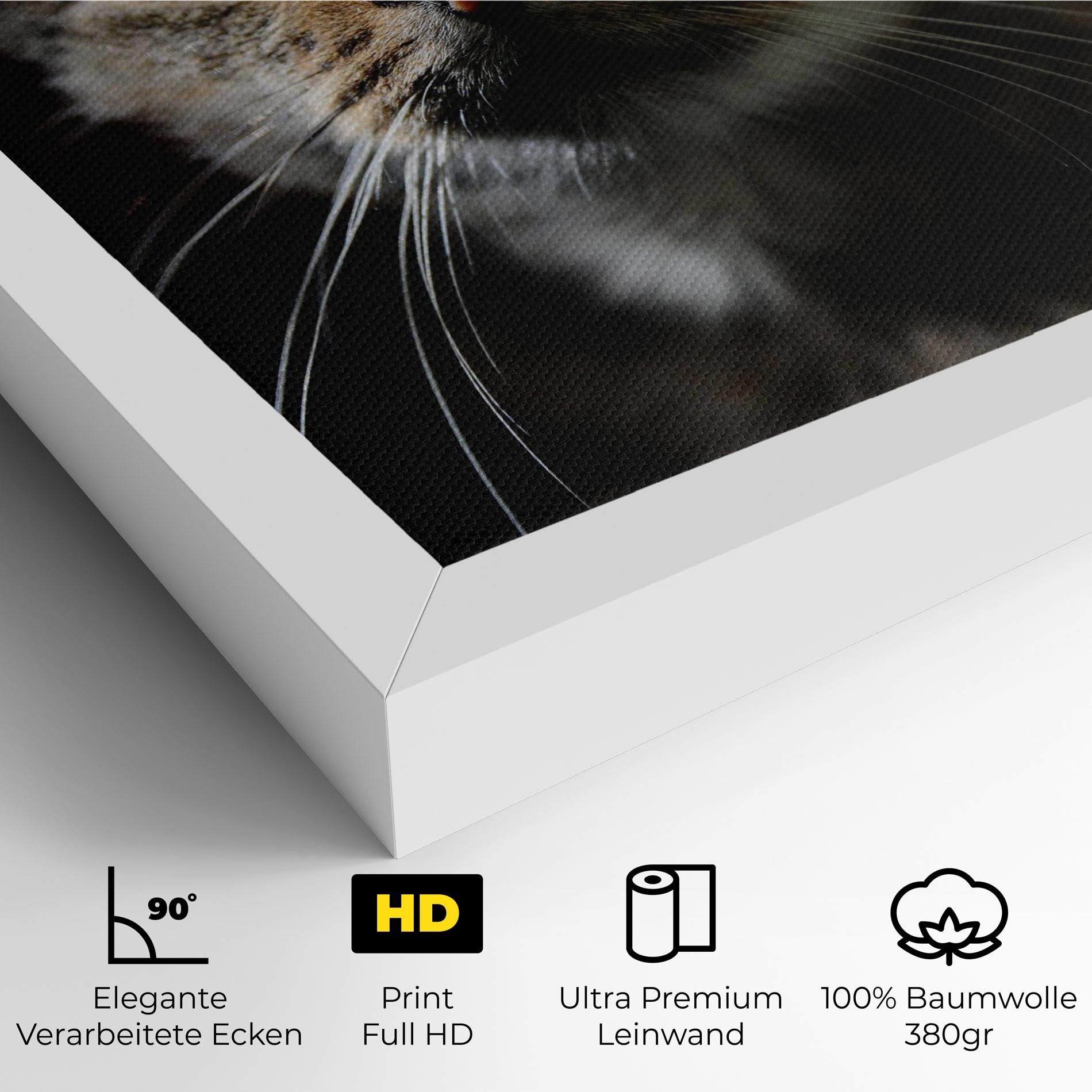 Playful Cat mockup 4