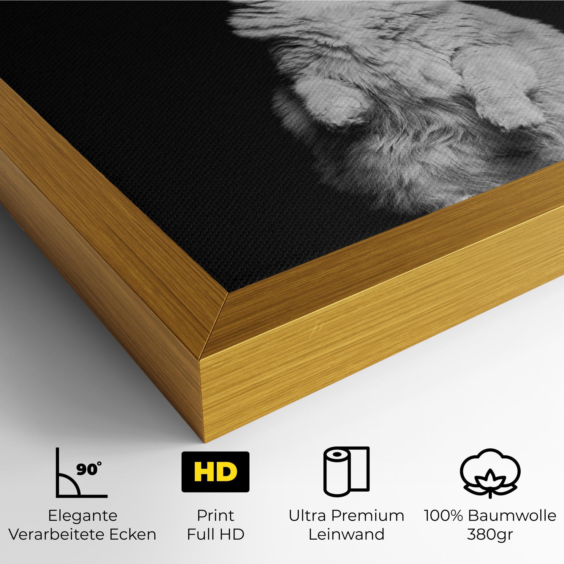 Leinwandbild Big Fluffy Cat mockup 4