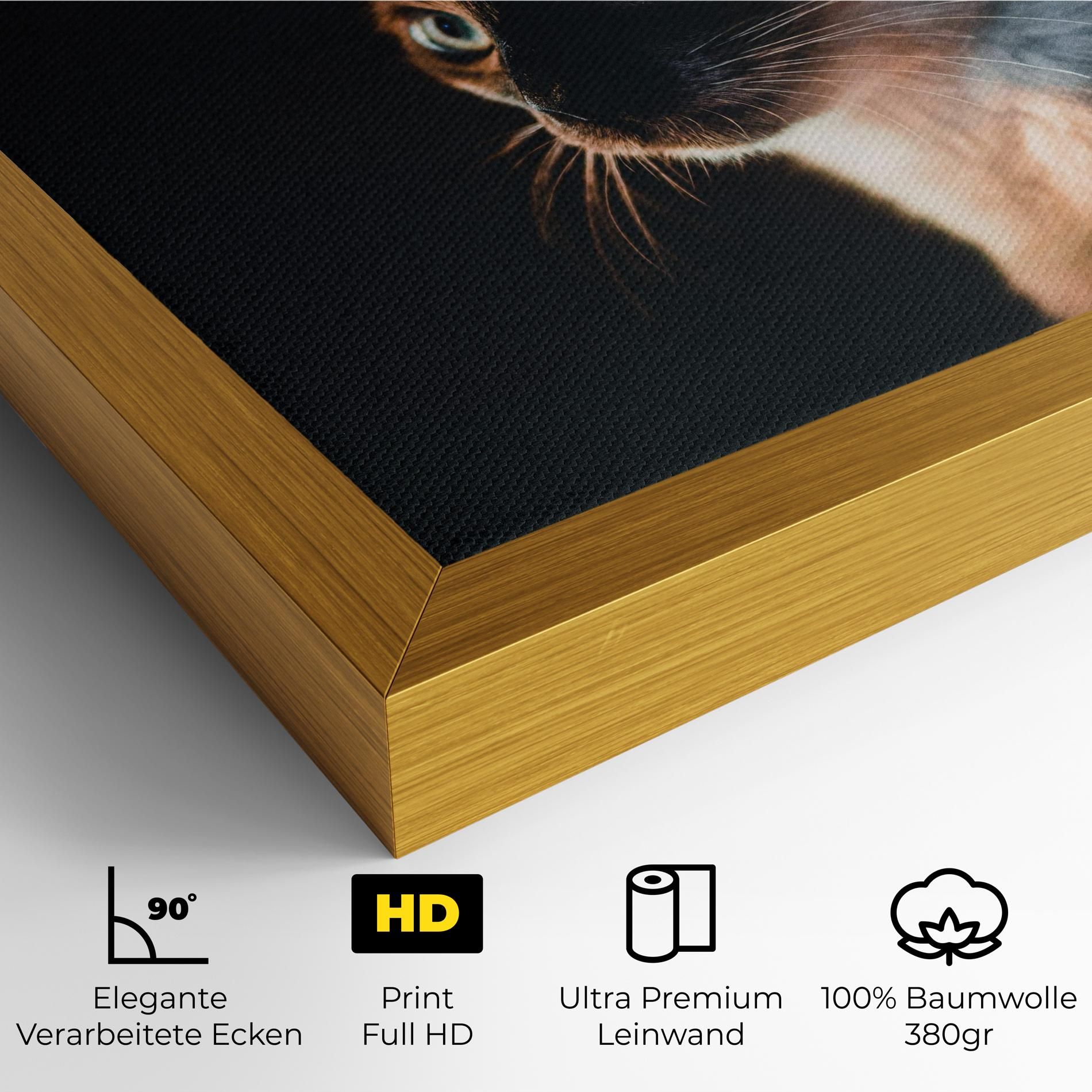 Blue Eyes Cat In Dark mockup 4