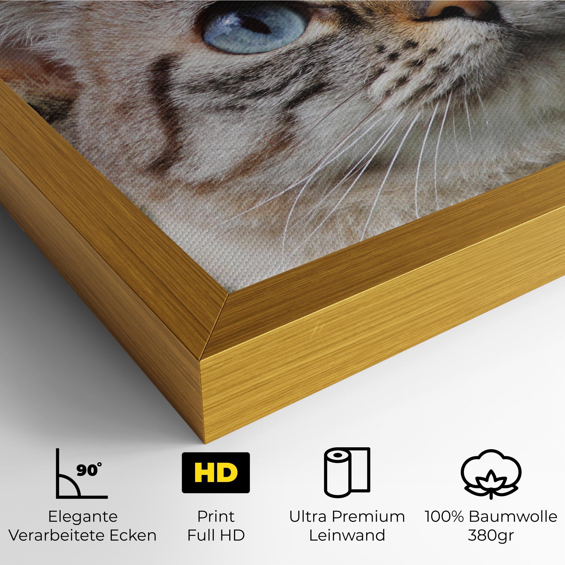 Leinwandbild Blue Eyes Cutie mockup 4