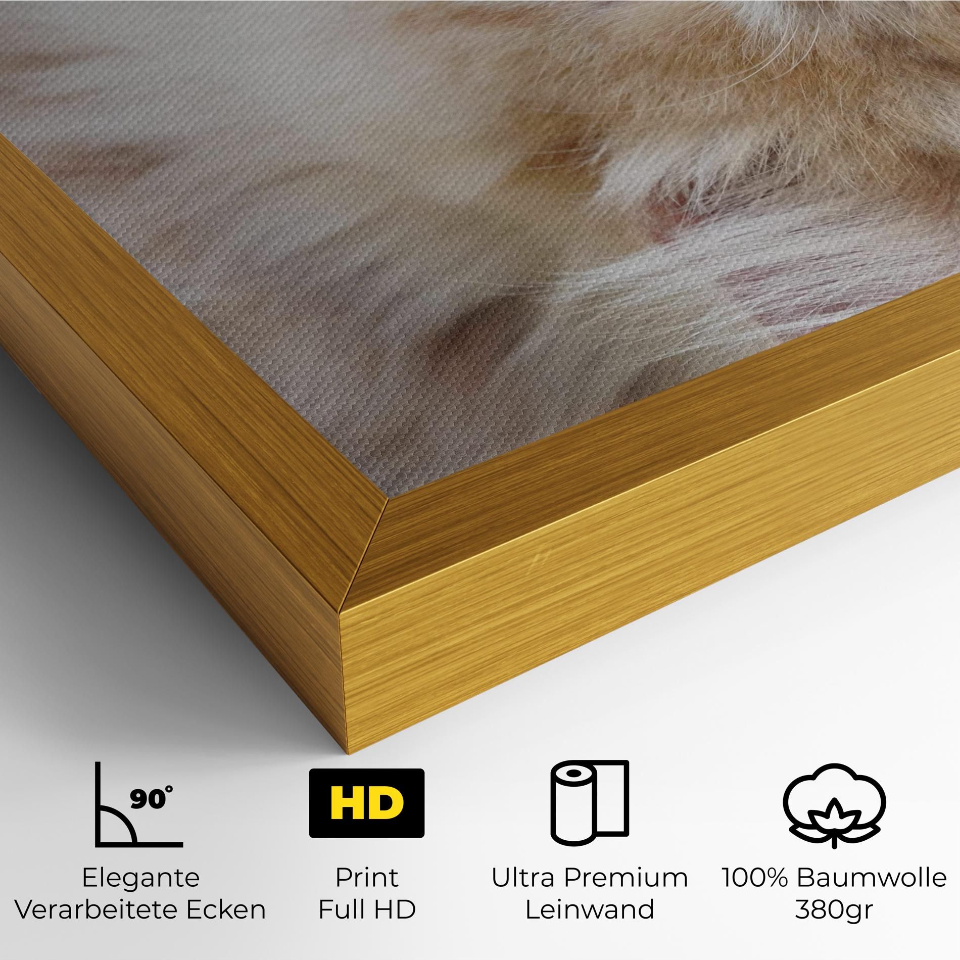 Close Up Yellow Eyes Cat mockup 4