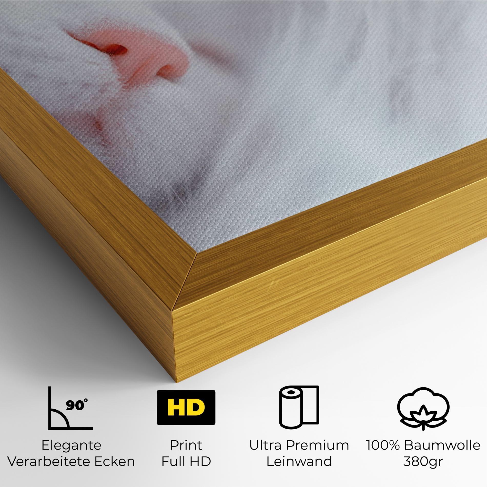 Dreamy White Cat mockup 4