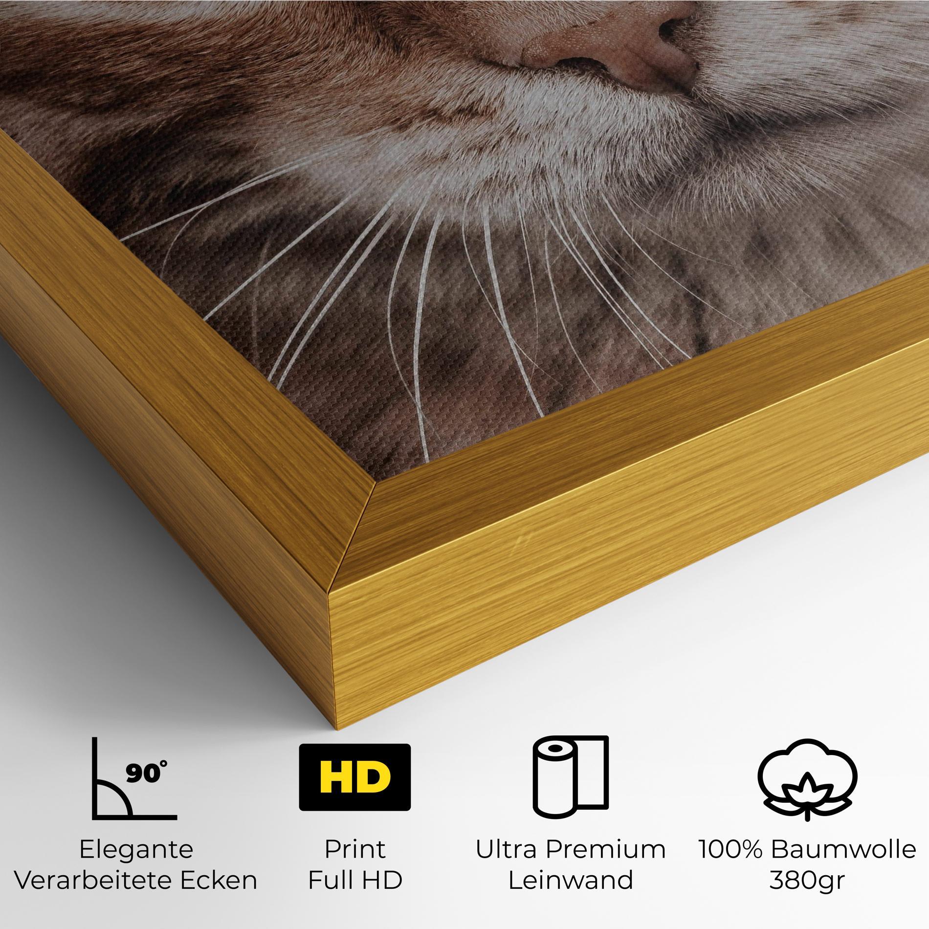 Leinwandbild Fire Eyes Cat mockup 4