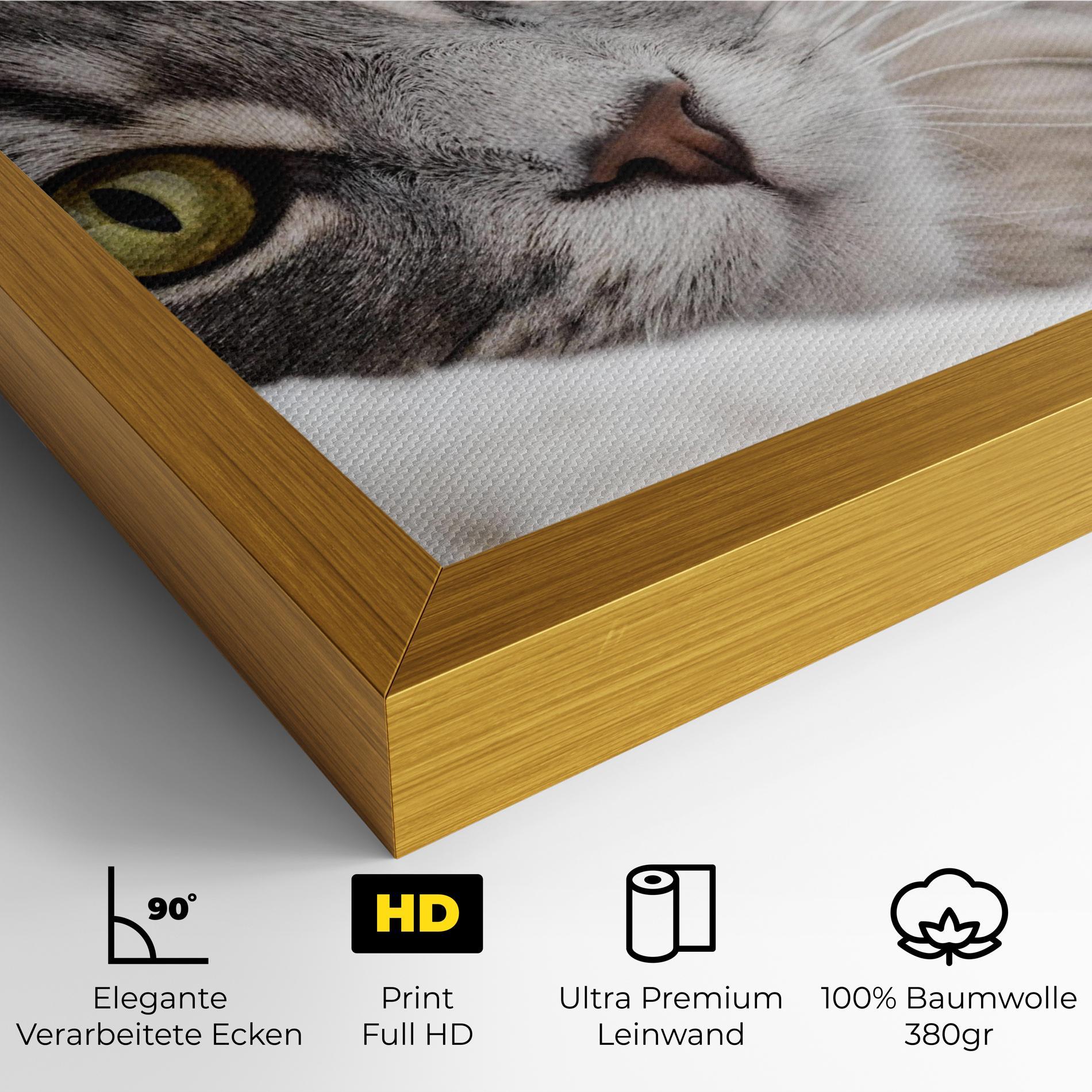 Leinwandbild Grey Fluffy Cat mockup 4