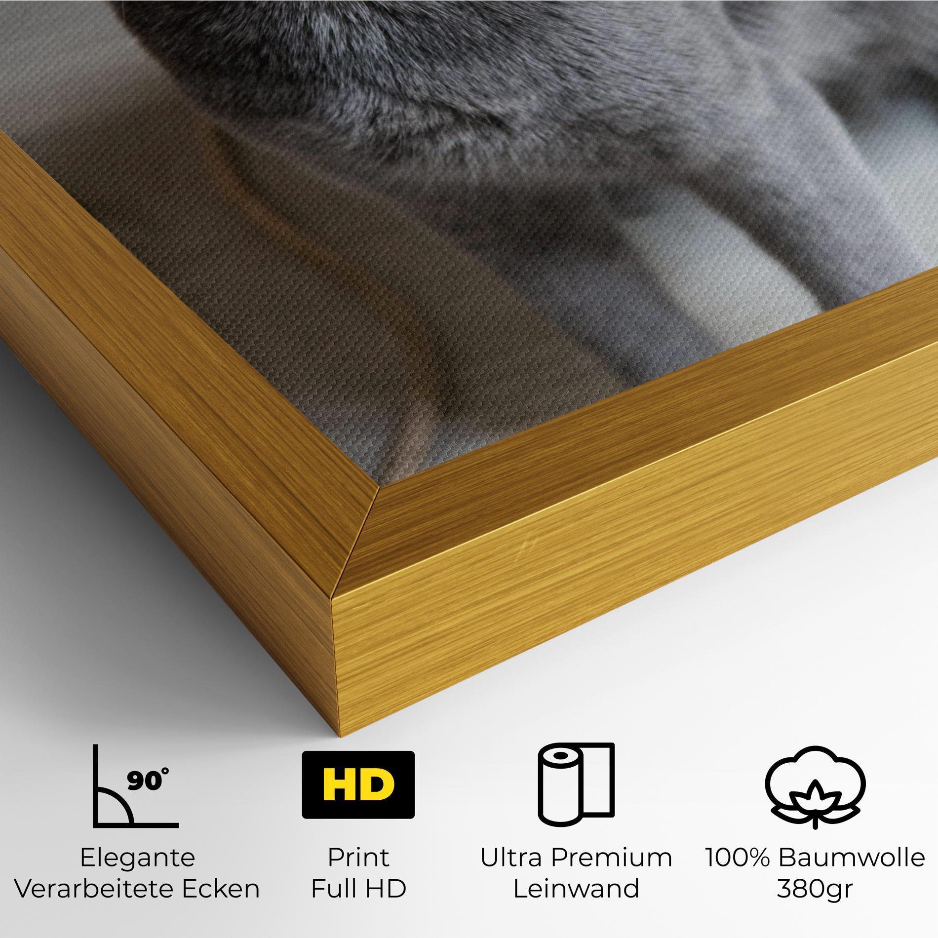 Leinwandbild Grey Green Cat Eyes mockup 4