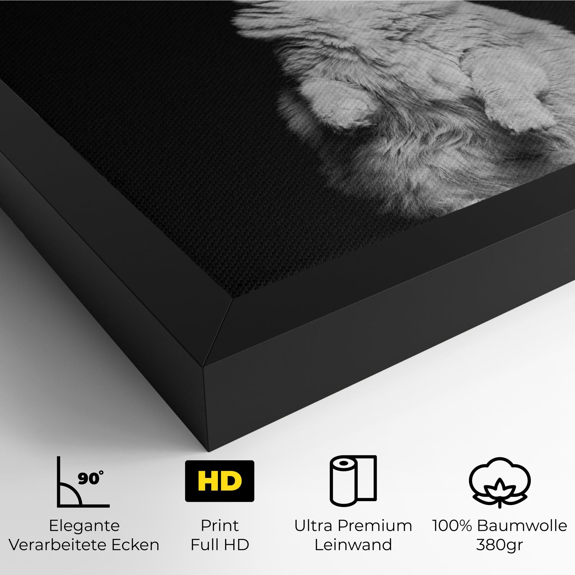 Big Fluffy Cat mockup 4